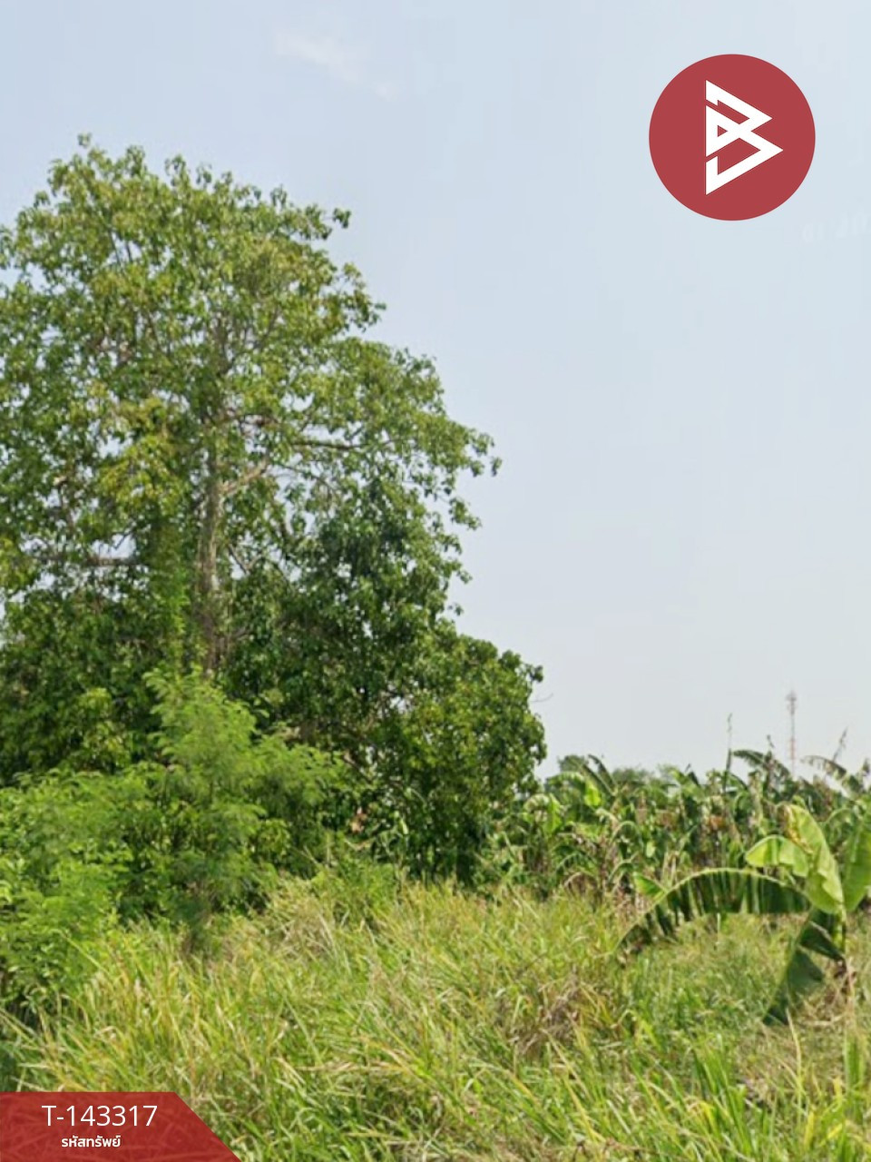 ขายที่ดิน เนื้อที่ 25 ไร่ 3 งาน 65 ตร.วา หัวหิน ประจวบคีรีขันธ์