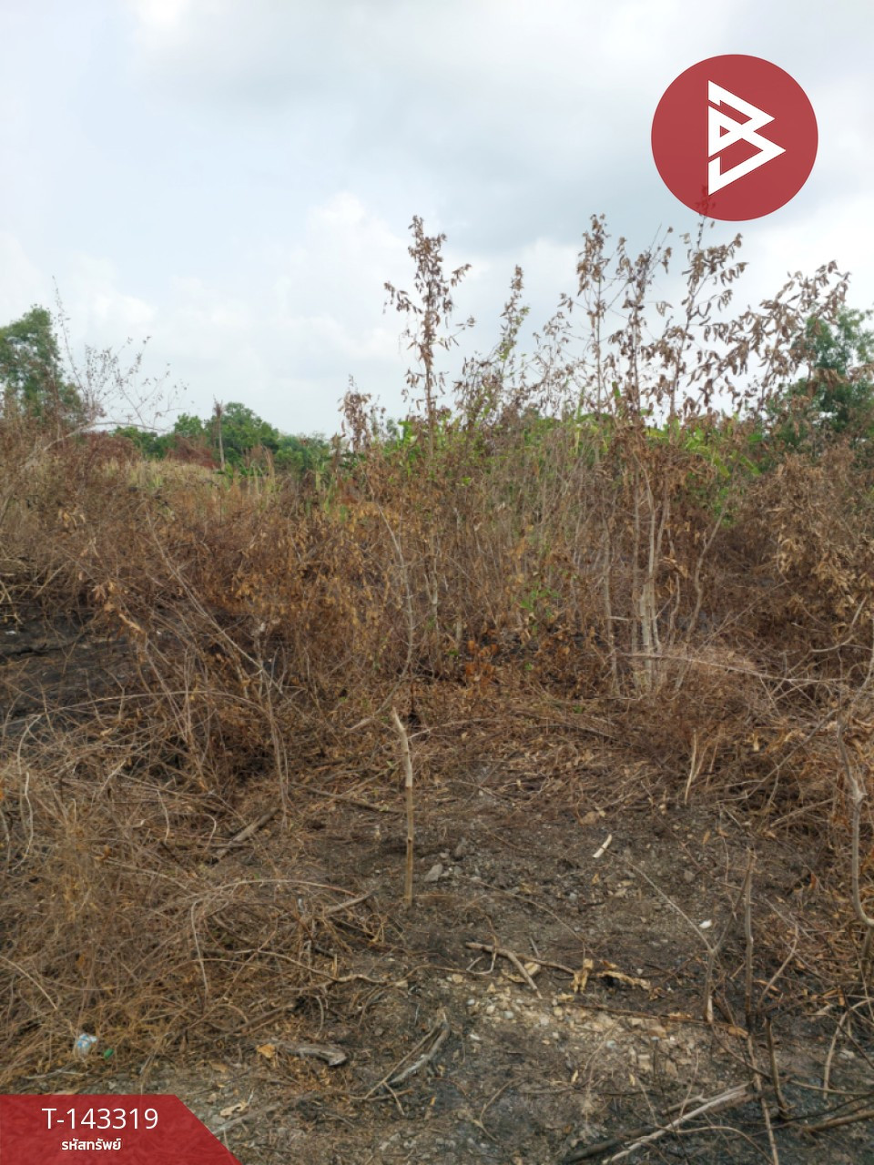 ขายที่ดิน เนื้อที่ 1 งาน 20 ตร.วา องครักษ์ นครนายก