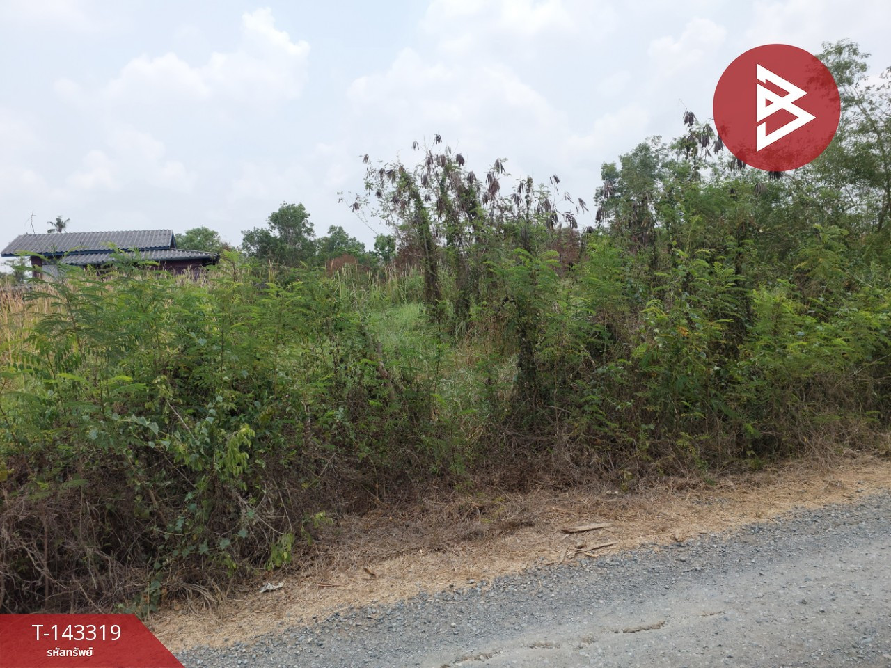 ขายที่ดิน เนื้อที่ 1 งาน 20 ตร.วา องครักษ์ นครนายก