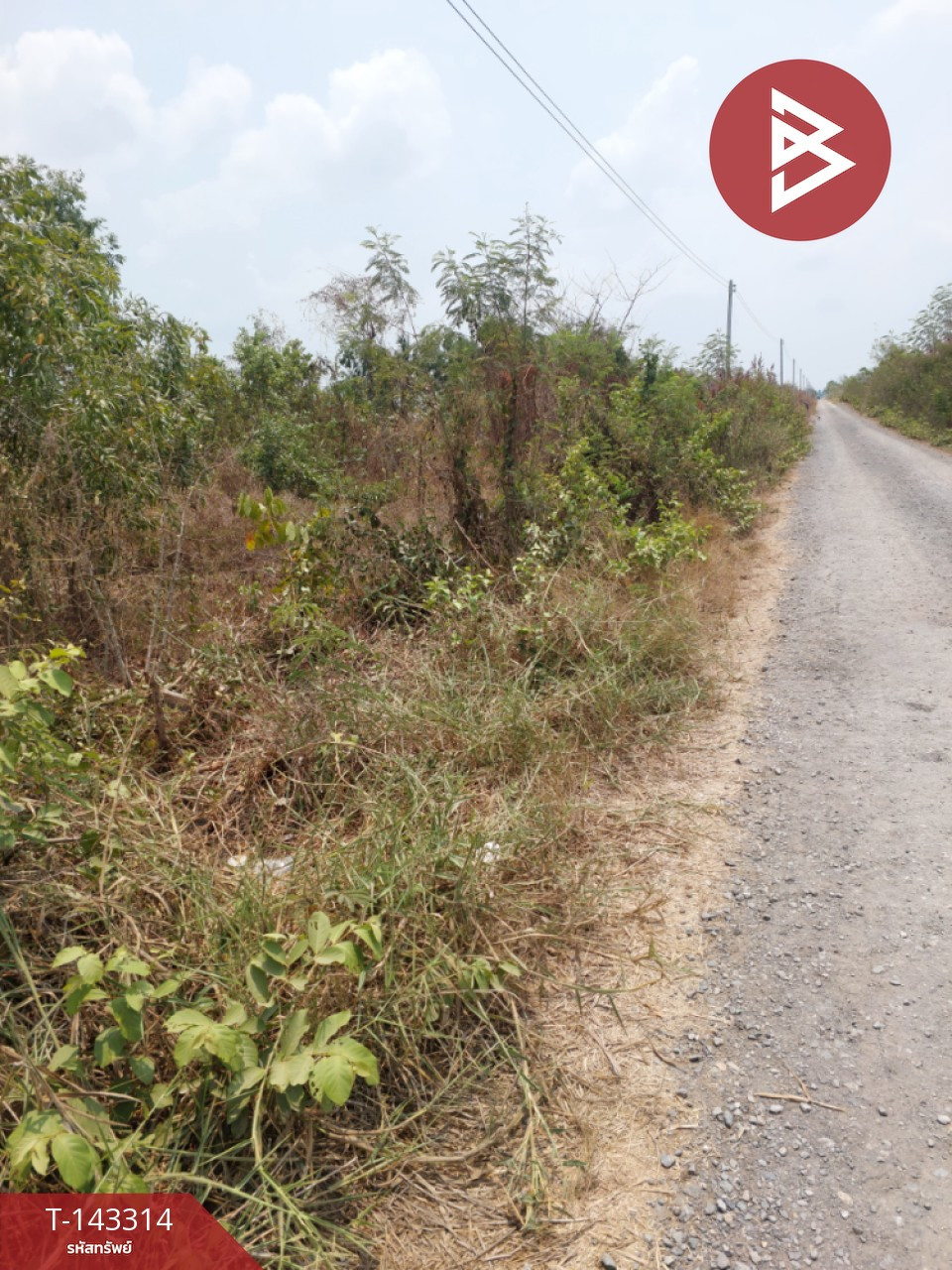 ขายที่ดิน เนื้อที่ 2 งาน 40 ตร.วา องครักษ์ นครนายก