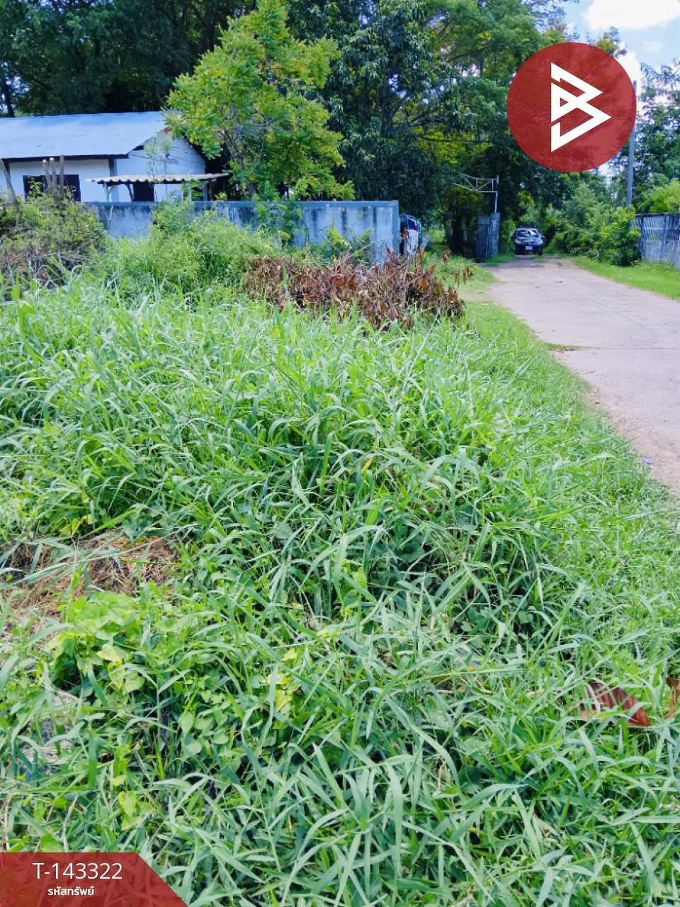 ขายที่ดิน เนื้อที่ 1 งาน 30 ตร.วา นอกเมือง สุรินทร์