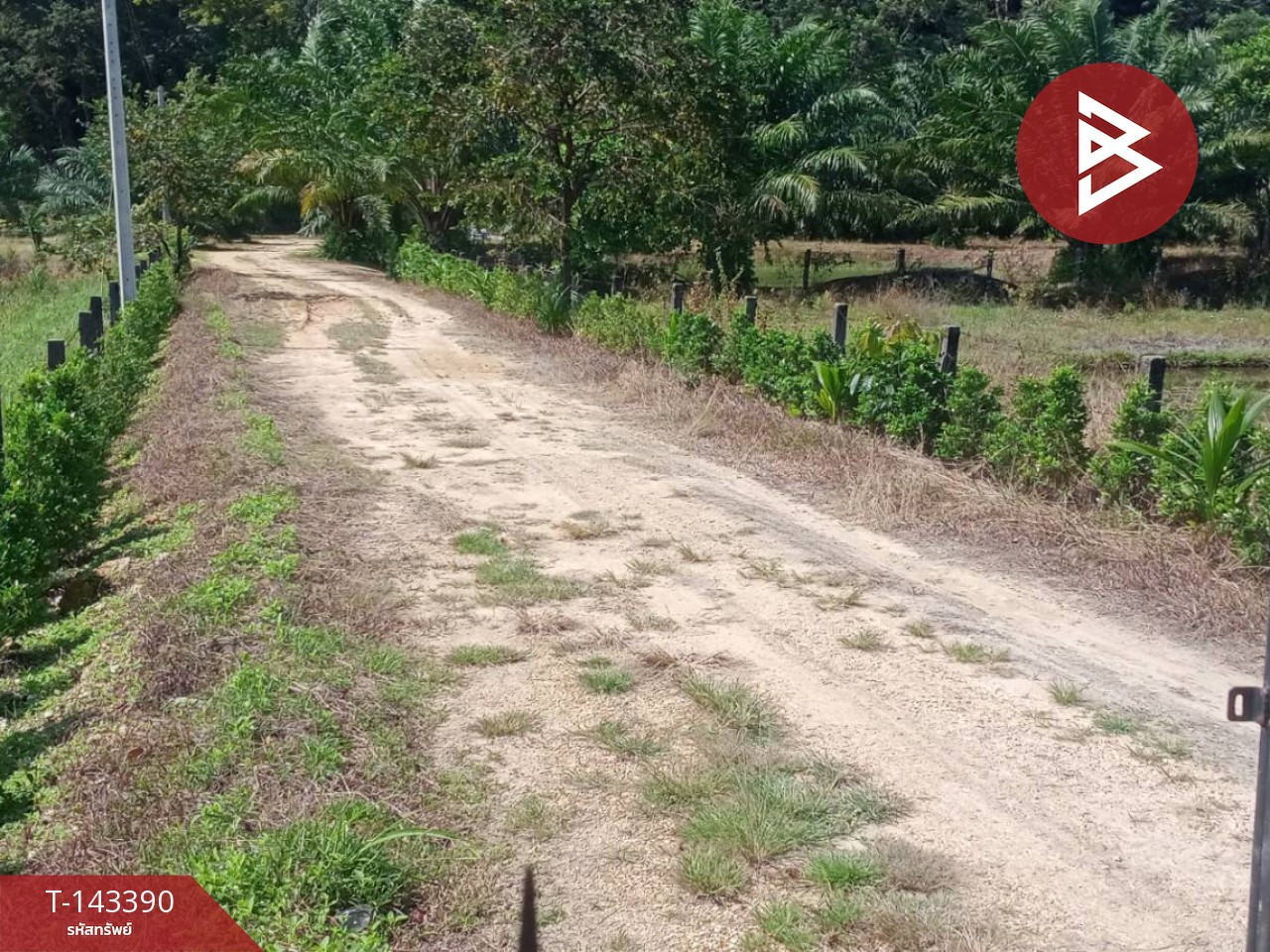 ขายที่ดิน เนื้อที่ 4 ไร่ 72 ตร.วา เกาะลันตา กระบี่