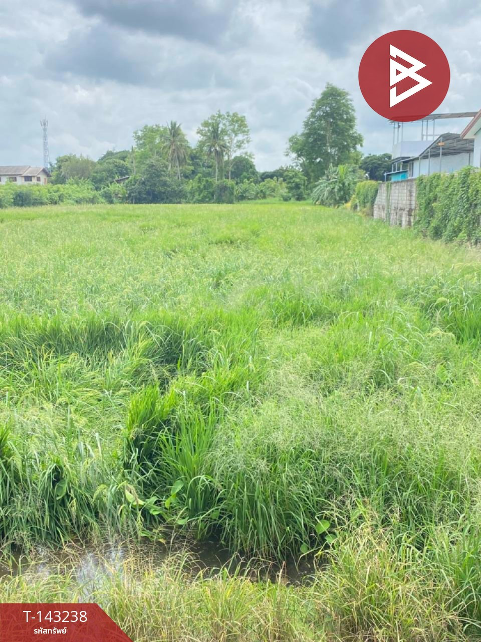 ขายที่ดิน เนื้อที่ 4 ไร่ 92 ตร.วา ท่าโพธิ์ พิษณุโลก