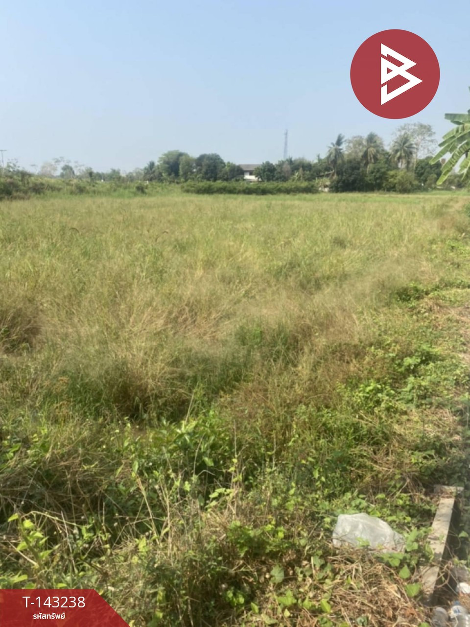 ขายที่ดิน เนื้อที่ 4 ไร่ 92 ตร.วา ท่าโพธิ์ พิษณุโลก