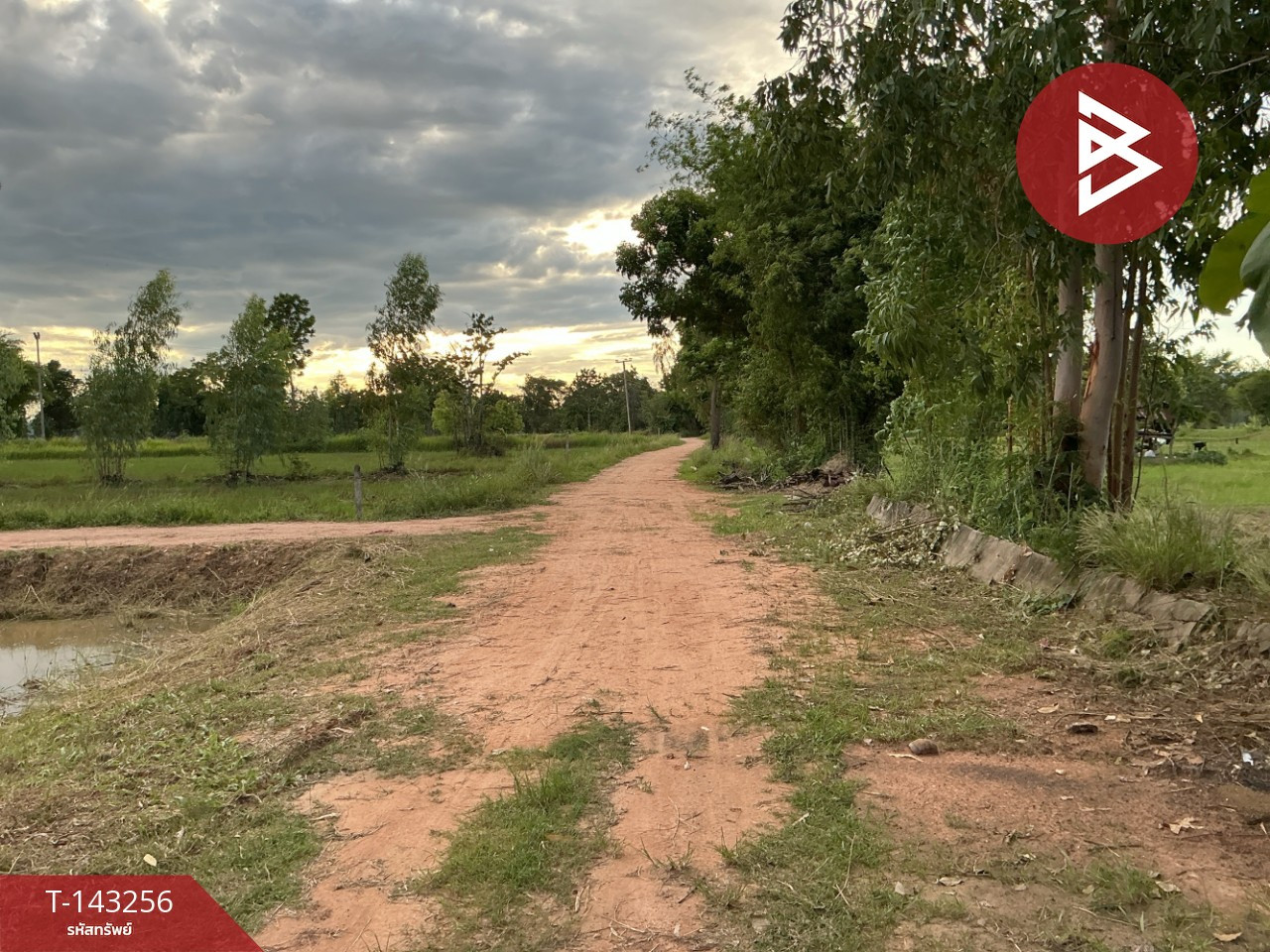ขายที่ดิน เนื้อที่ 9 ไร่ โนนสัง หนองบัวลำภู