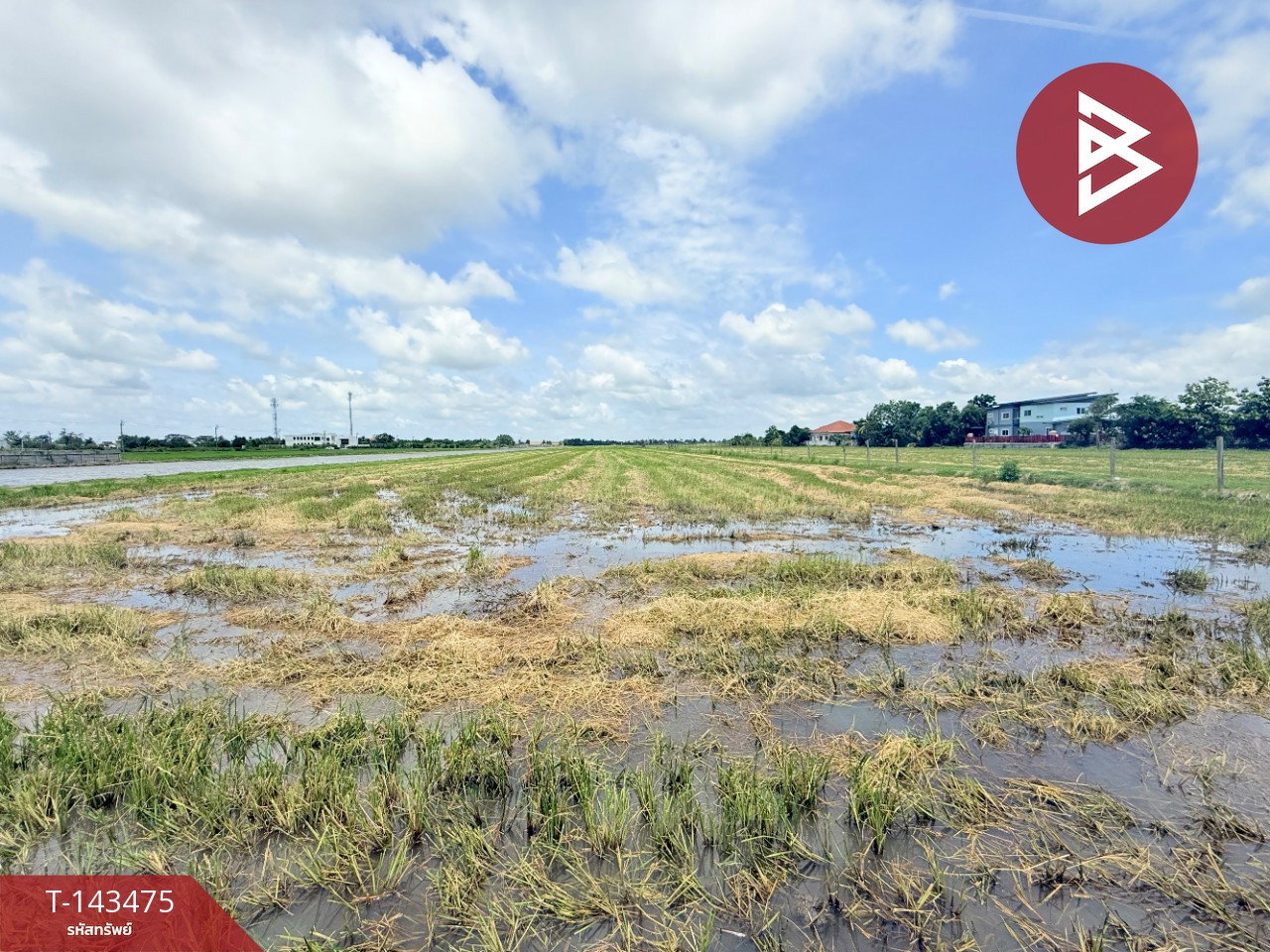 ขายที่ดิน เนื้อที่ 24 ไร่ 5 ตร.วา หนองจอก กรุงเทพมหานคร