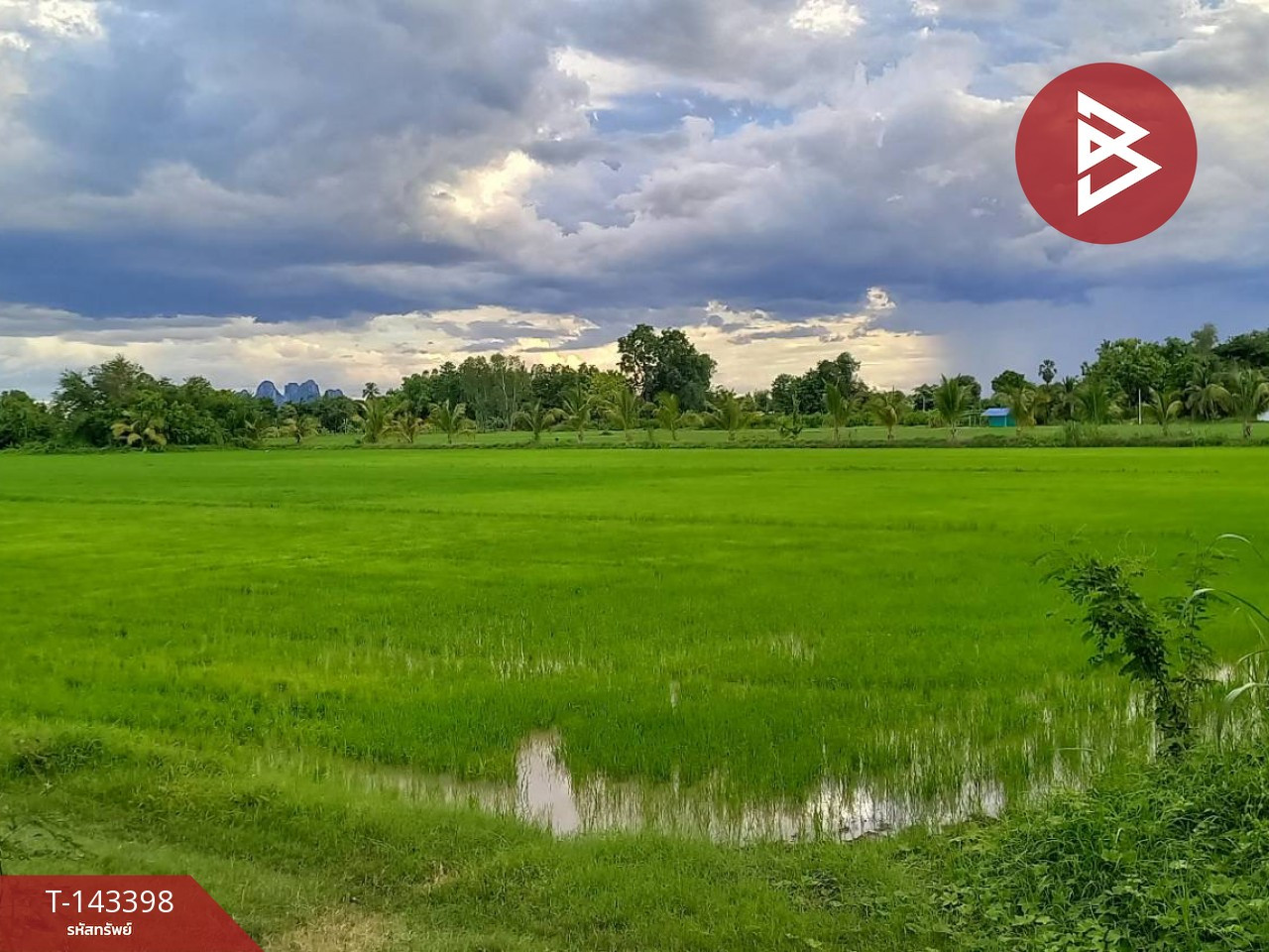 ขายที่ดิน เนื้อที่ 11 ไร่ 1 งาน 65 ตร.วา บรรพตพิสัย นครสวรรค์