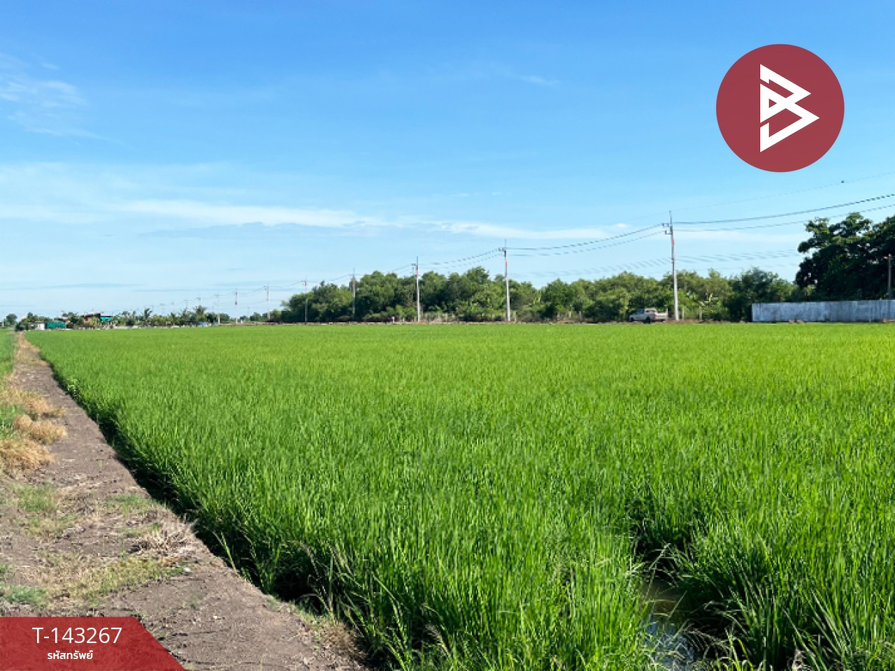 ขายที่ดิน เนื้อที่ 7 ไร่ 2 งาน 91 ตร.วา คลองอุดมชลจร ฉะเชิงเทรา