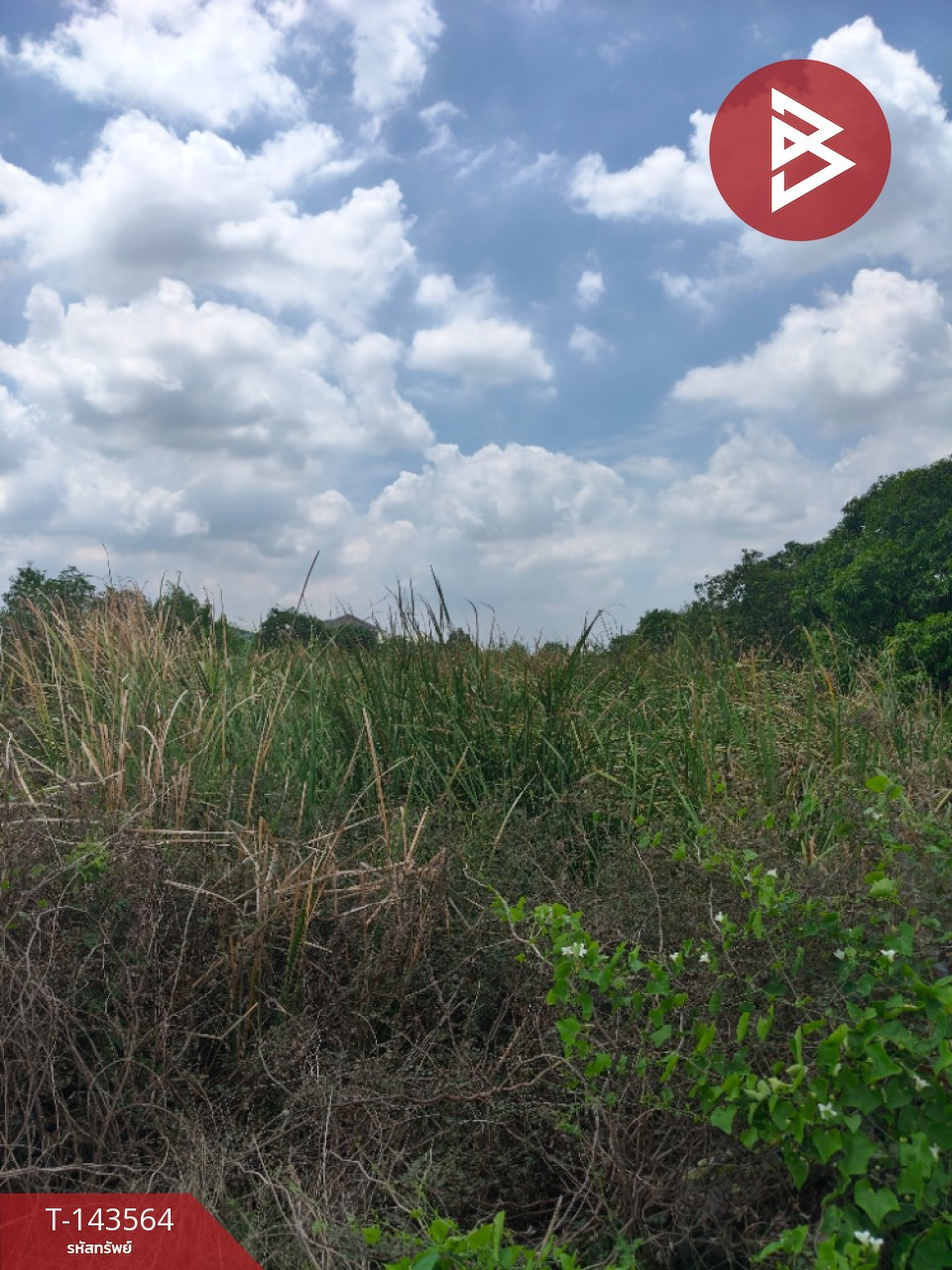 ขายที่ดิน เนื้อที่ 4 ไร่ บางพลี สมุทรปราการ