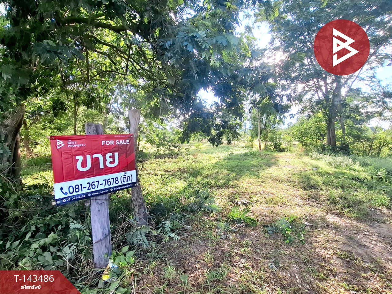 ขายที่ดิน เนื้อที่ 8 ไร่ 3 งาน 68.5 ตร.วา โพนทอง ร้อยเอ็ด