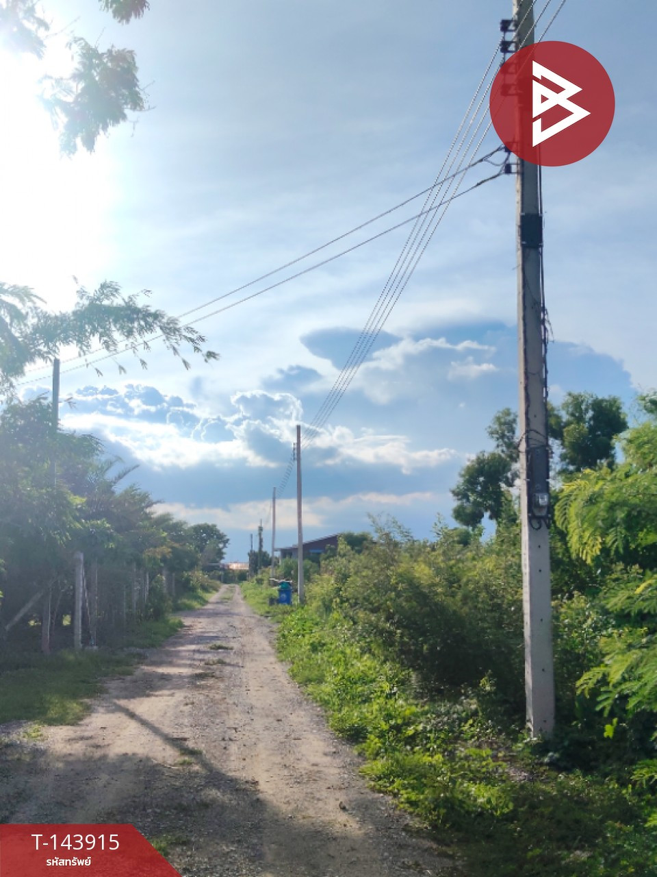 ขายที่ดิน เนื้อที่ 1 งาน ไทรน้อย นนทบุรี