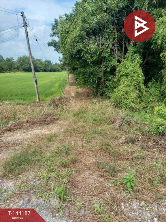ขายที่ดิน เนื้อที่ 3 ไร่ ต.ดงละคร นครนายก