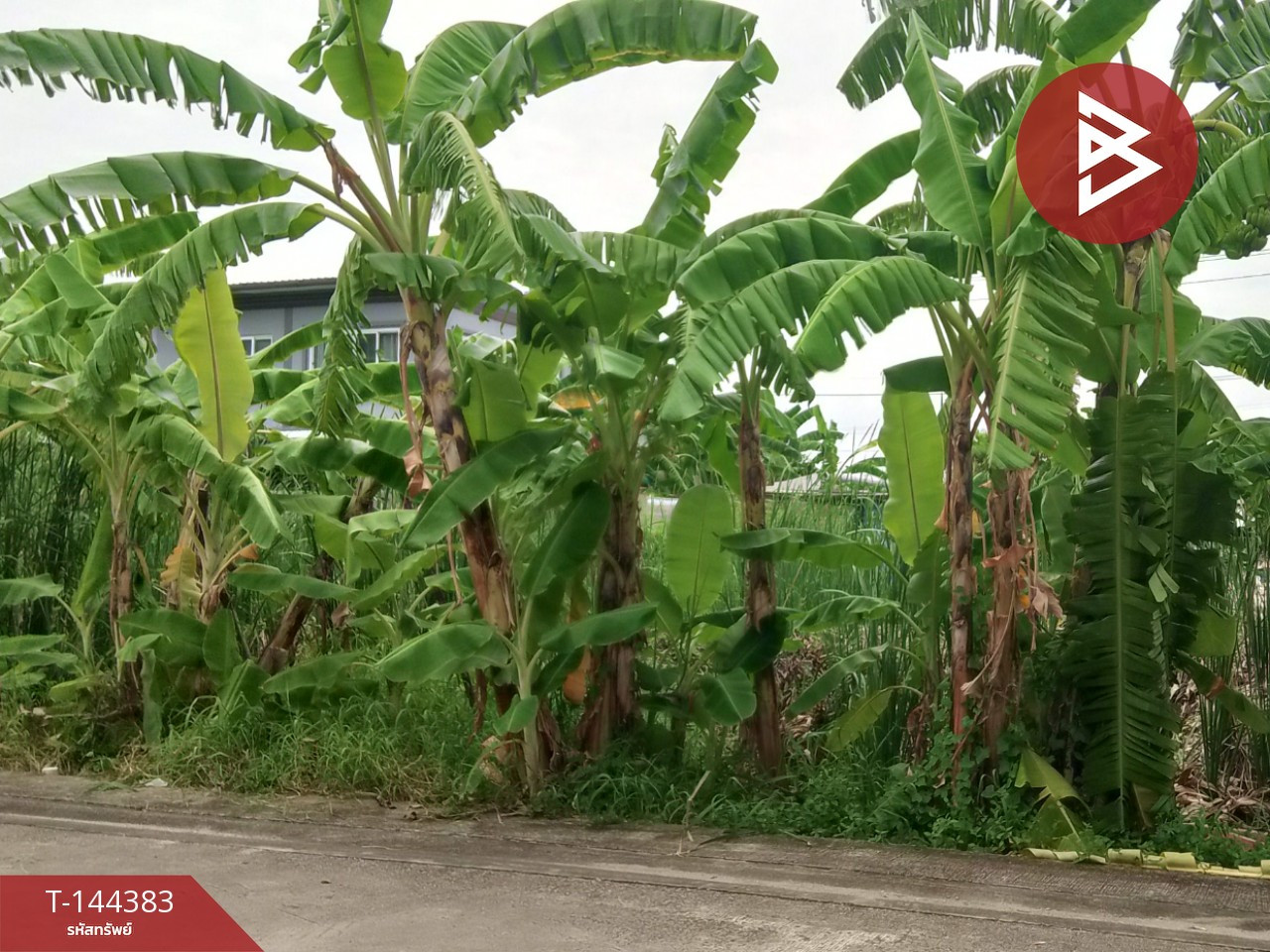 ขายที่ดิน เนื้อที่ 40 ตร.วา ลาดกระบัง กรุงเทพมหานคร