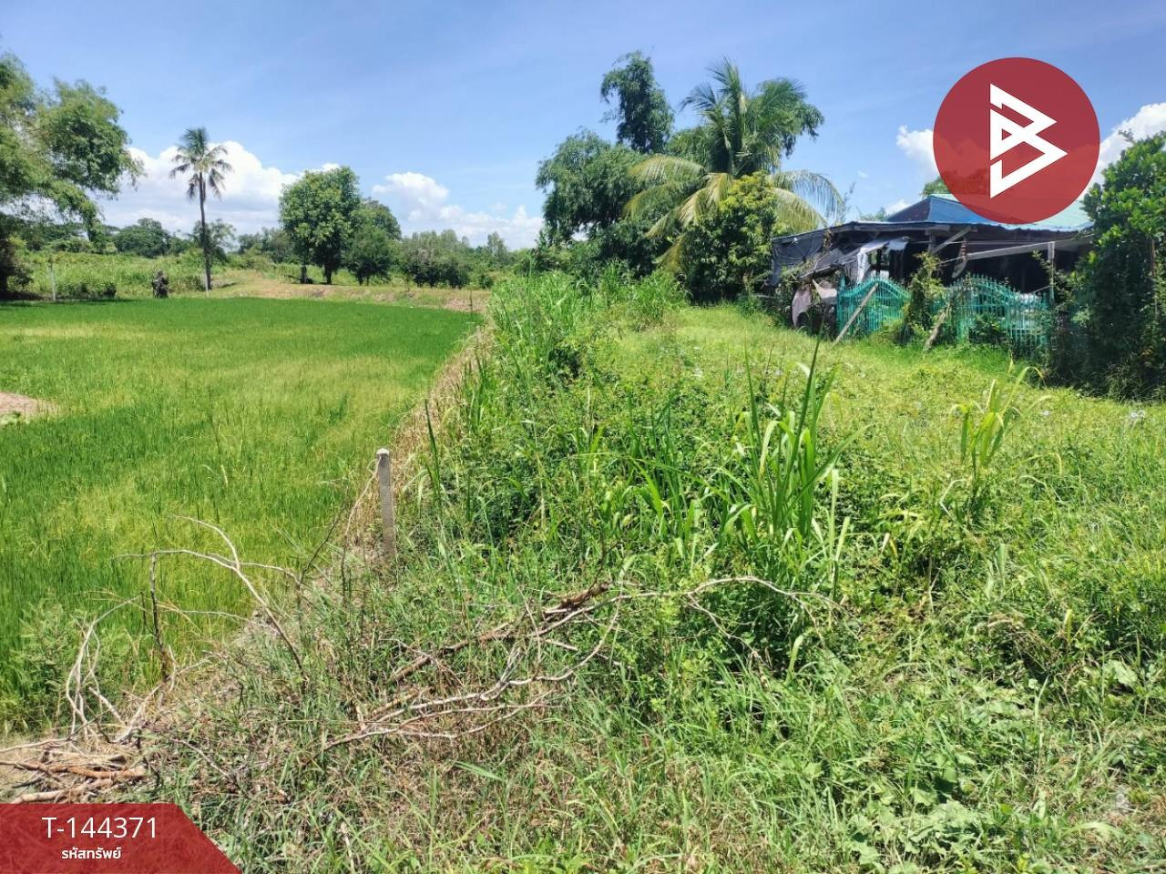 ขายที่ดินแปลงเล็ก เนื้อที่ 140 ตร.วา ติดคลองเมน อ.พรหมพิราม พิษณุโลก