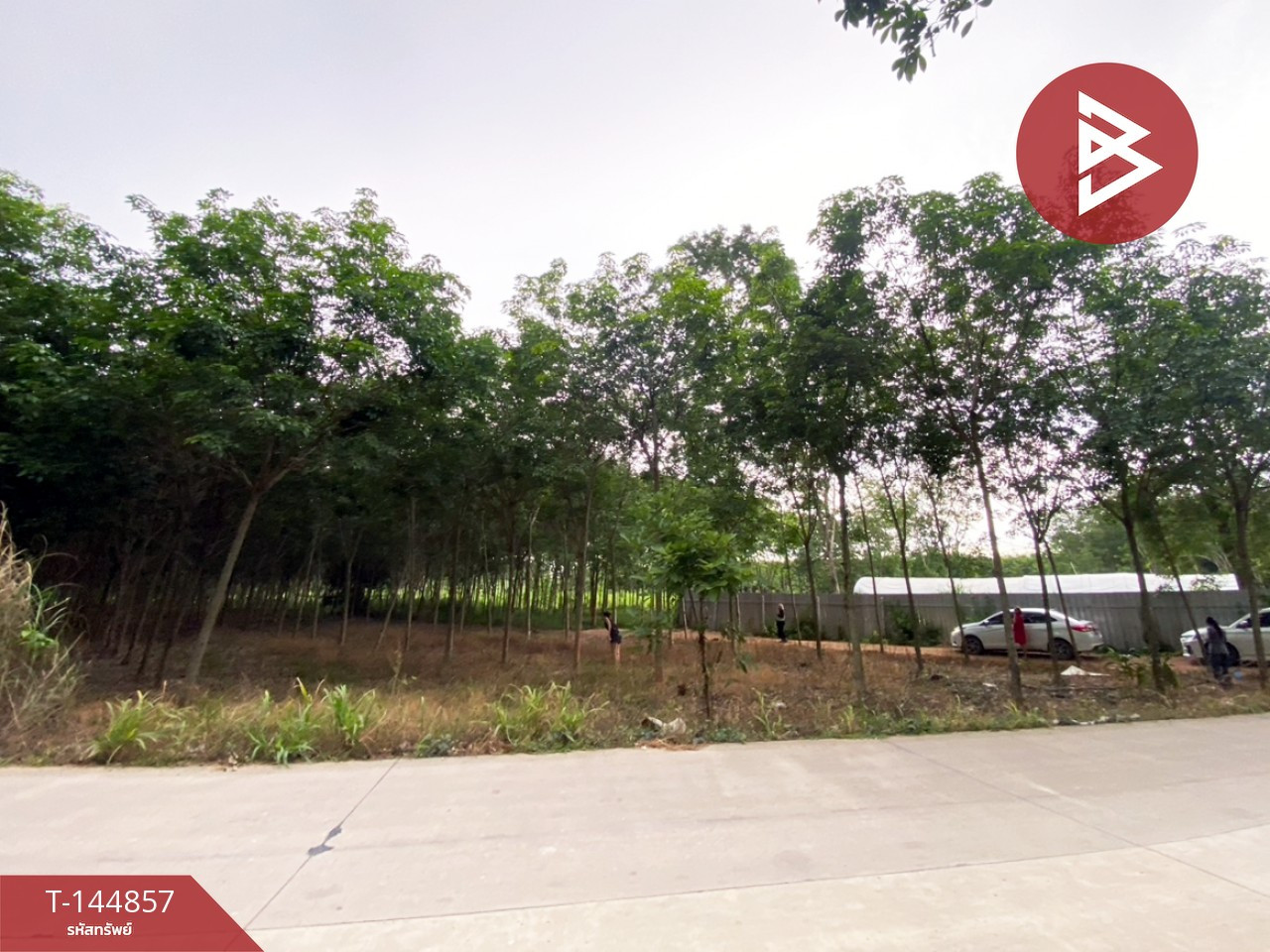 ขายที่ดิน เนื้อที่ 7 ไร่ 21.6 ตร.วา บ้านค่าย ระยอง