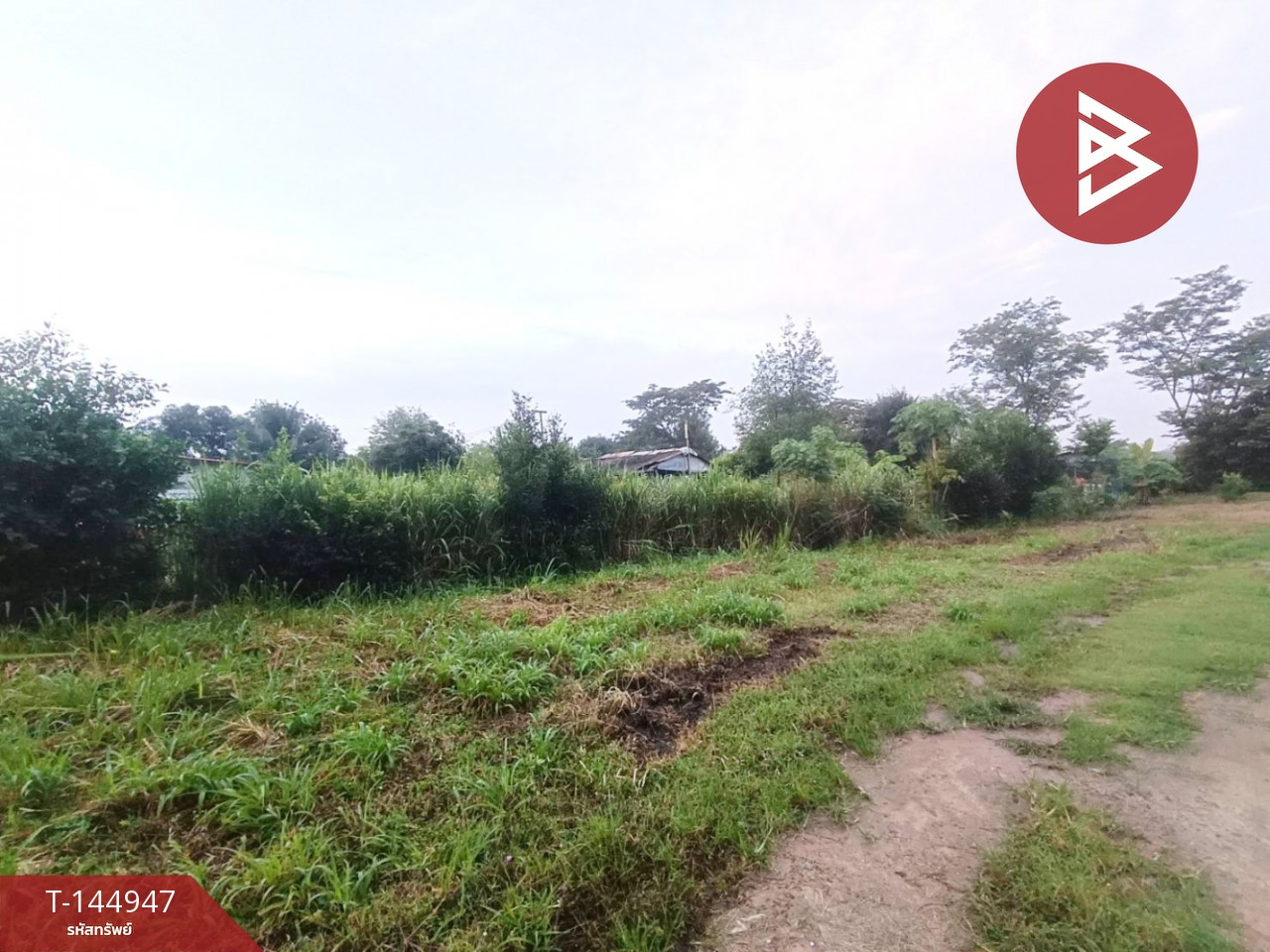 ขายที่ดิน เนื้อที่ 3 ไร่ ใกล้นิคมฯโรจนะ หนองใหญ่ หนองไผ่แก้ว บ้านบึง ชลบุรี