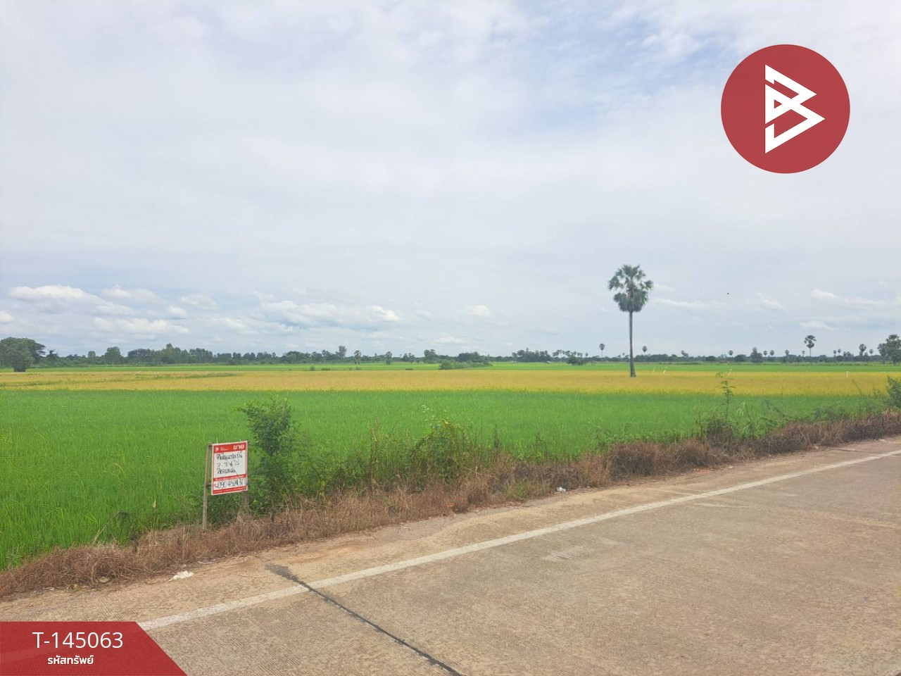 ขายที่ดิน เนื้อที่ 2 ไร่ 3 งาน 6 ตร.วา ชุมแสง นครสวรรค์