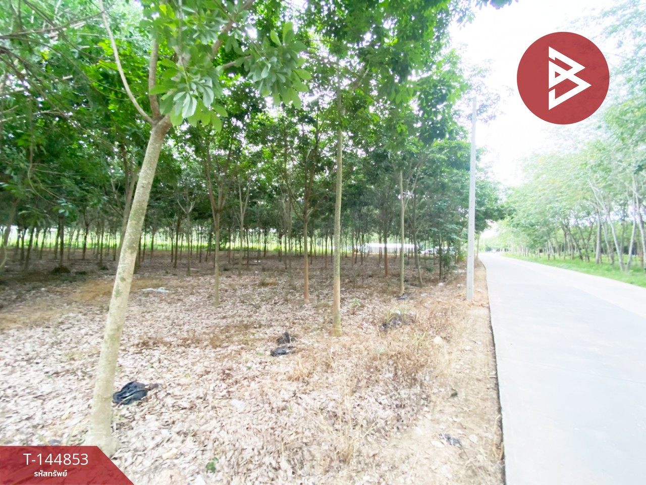 ขายด่วนที่ดิน เนื้อที่ 6 ไร่ 1 งาน 59 ตร.วา บ้านค่าย ระยอง