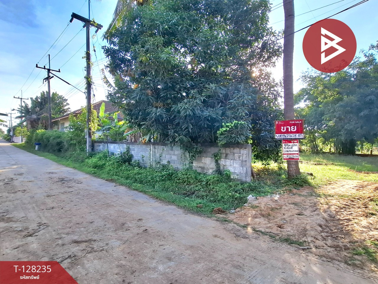 ขายที่ดิน เนื้อที่ 1 งาน 90 ตร.วา จังหาร ร้อยเอ็ด