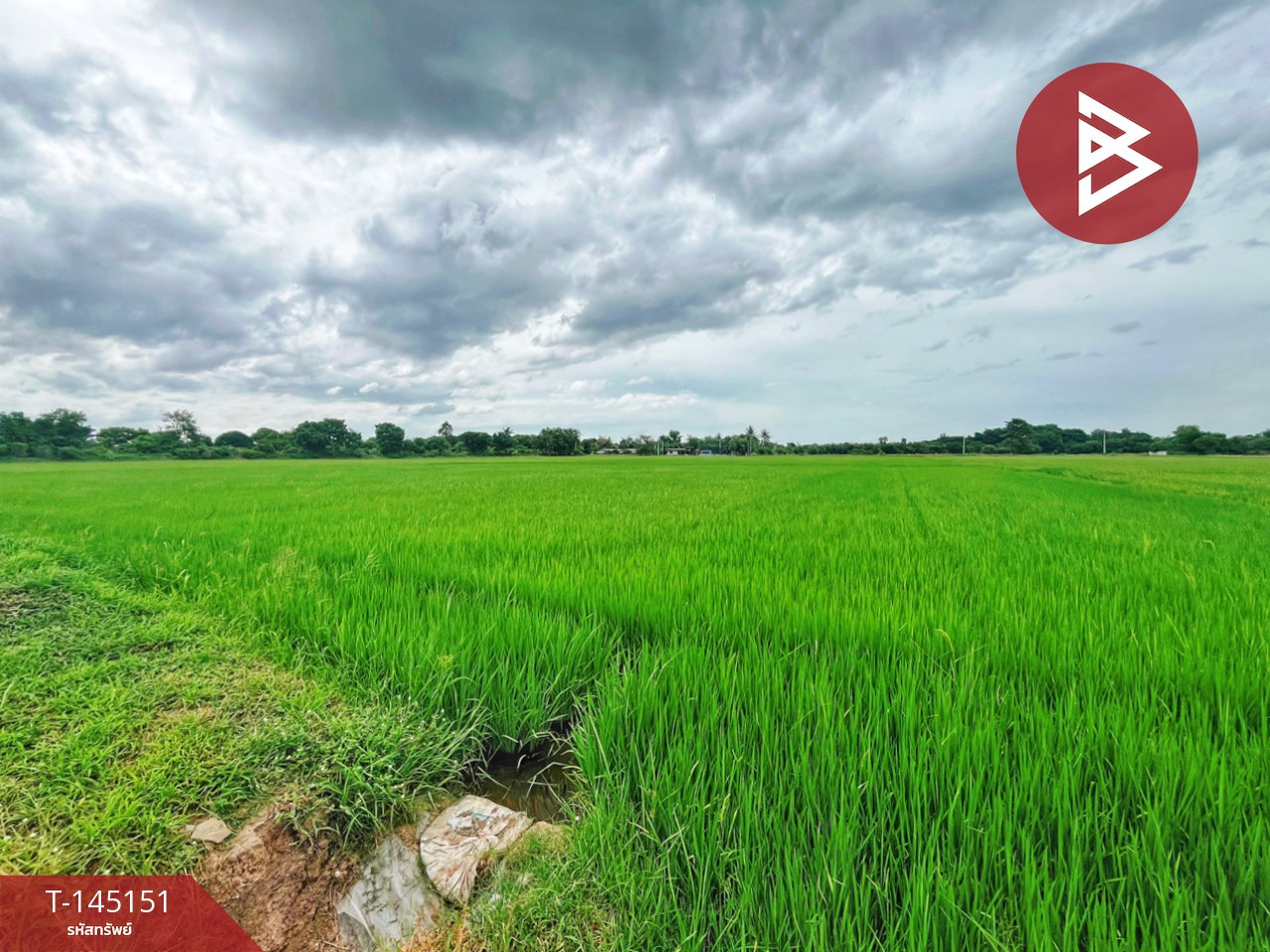 ขายที่ดิน เนื้อที่ 27 ไร่ 96 ตร.วา ดอนเจดีย์ สุพรรณบุรี