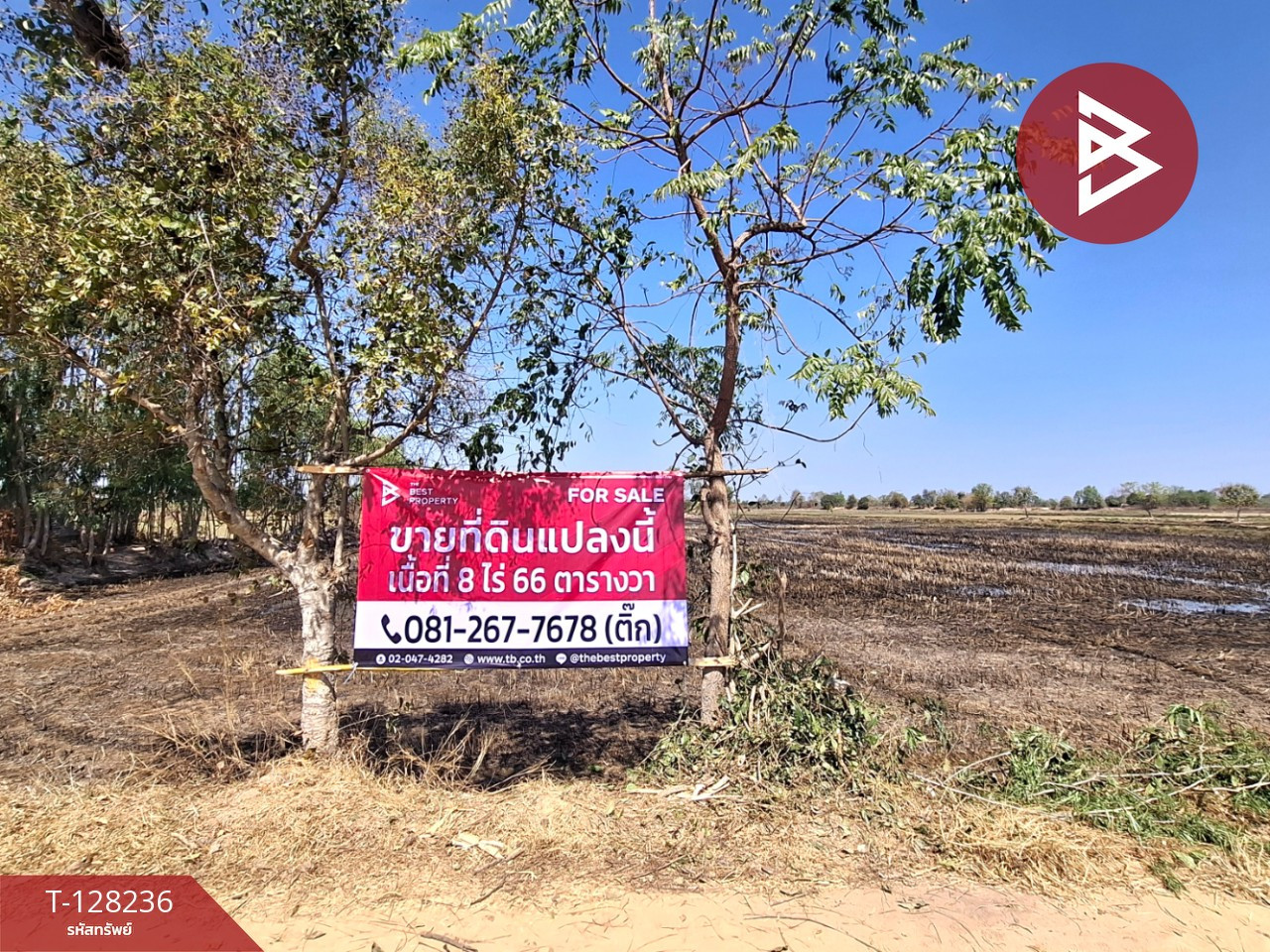 ขายที่ดิน เนื้อที่ 8 ไร่ 66 ตร.วา จังหาร ร้อยเอ็ด