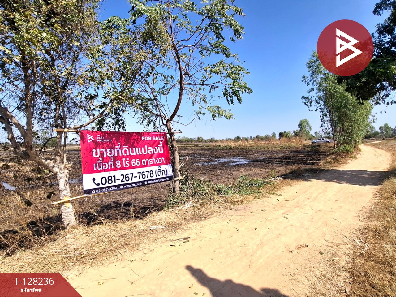 ขายที่ดิน เนื้อที่ 8 ไร่ 66 ตร.วา จังหาร ร้อยเอ็ด