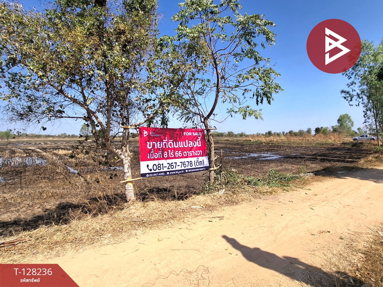 ขายที่ดิน เนื้อที่ 8 ไร่ 66 ตร.วา จังหาร ร้อยเอ็ด