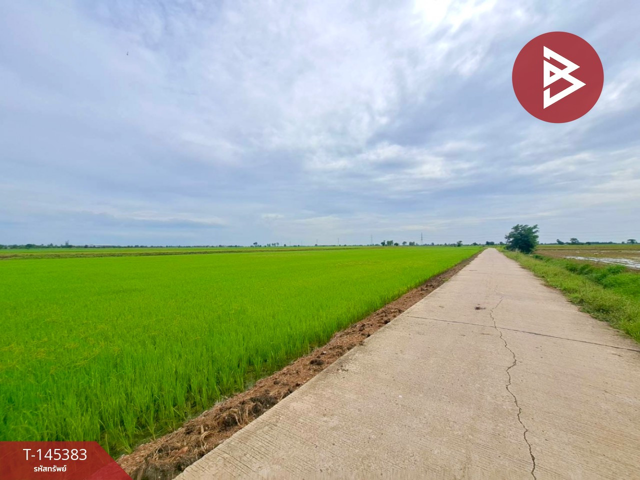 ขายที่ดินการเกษตร เนื้อที่ 17 ไร่ 71 ตร.วา เขตชุมชน อ.ตาคลี จ.นครสวรรค์
