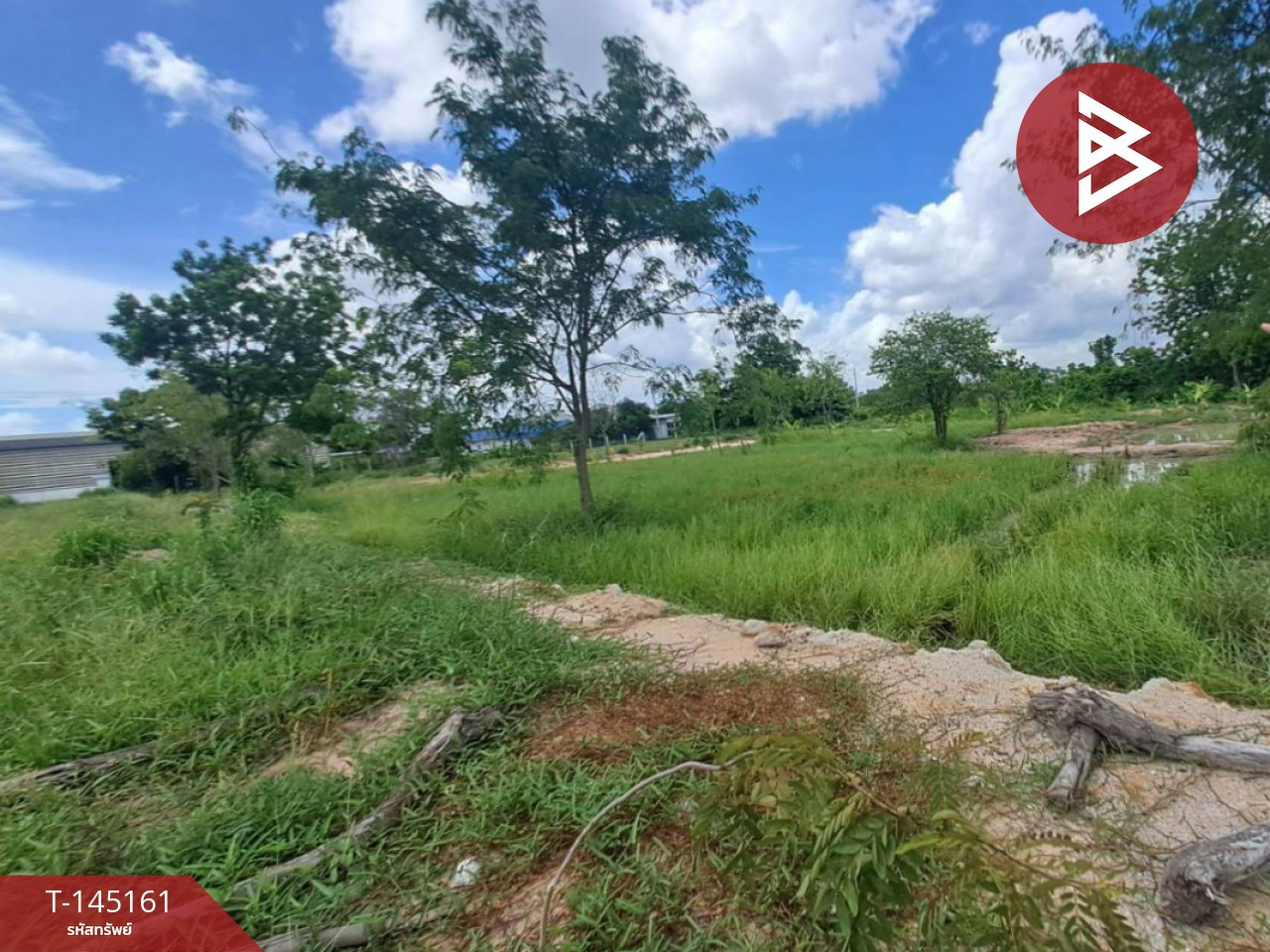 ขายที่ดินแปลงสวย เนื้อที่ 40 ตร.วา หนองตำลึง พานทอง ชลบุรี