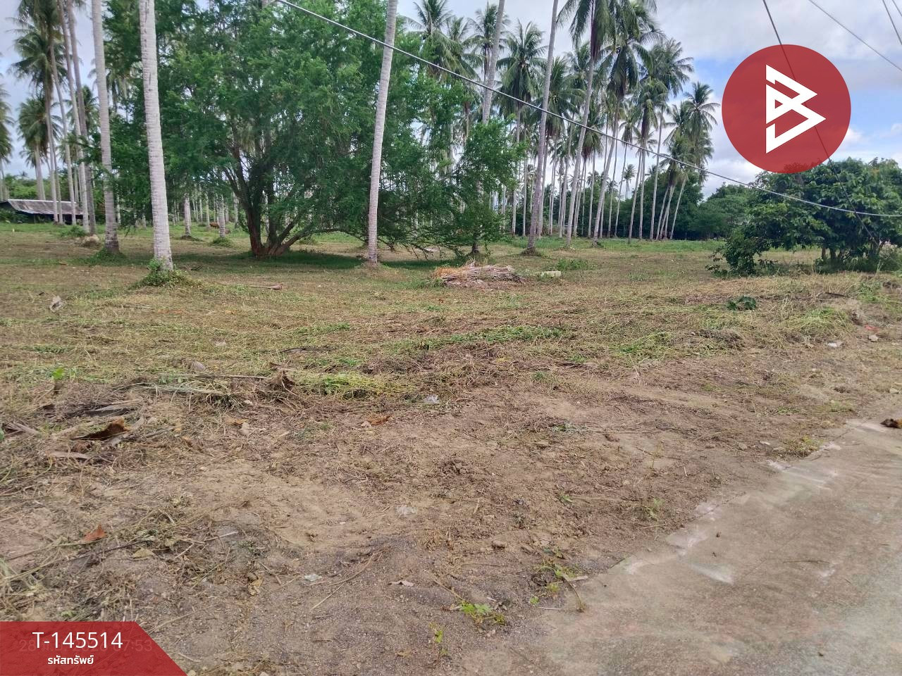 ขายที่ดิน เนื้อที่ 28 ไร่ 2 งาน 6 ตร.วา บางสะพาน ประจวบคีรีขันธ์