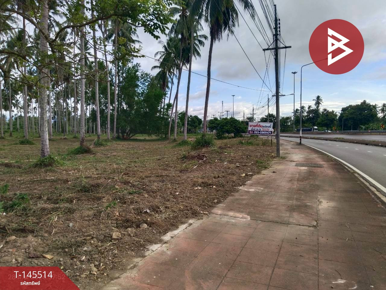 ขายที่ดิน เนื้อที่ 28 ไร่ 2 งาน 6 ตร.วา บางสะพาน ประจวบคีรีขันธ์