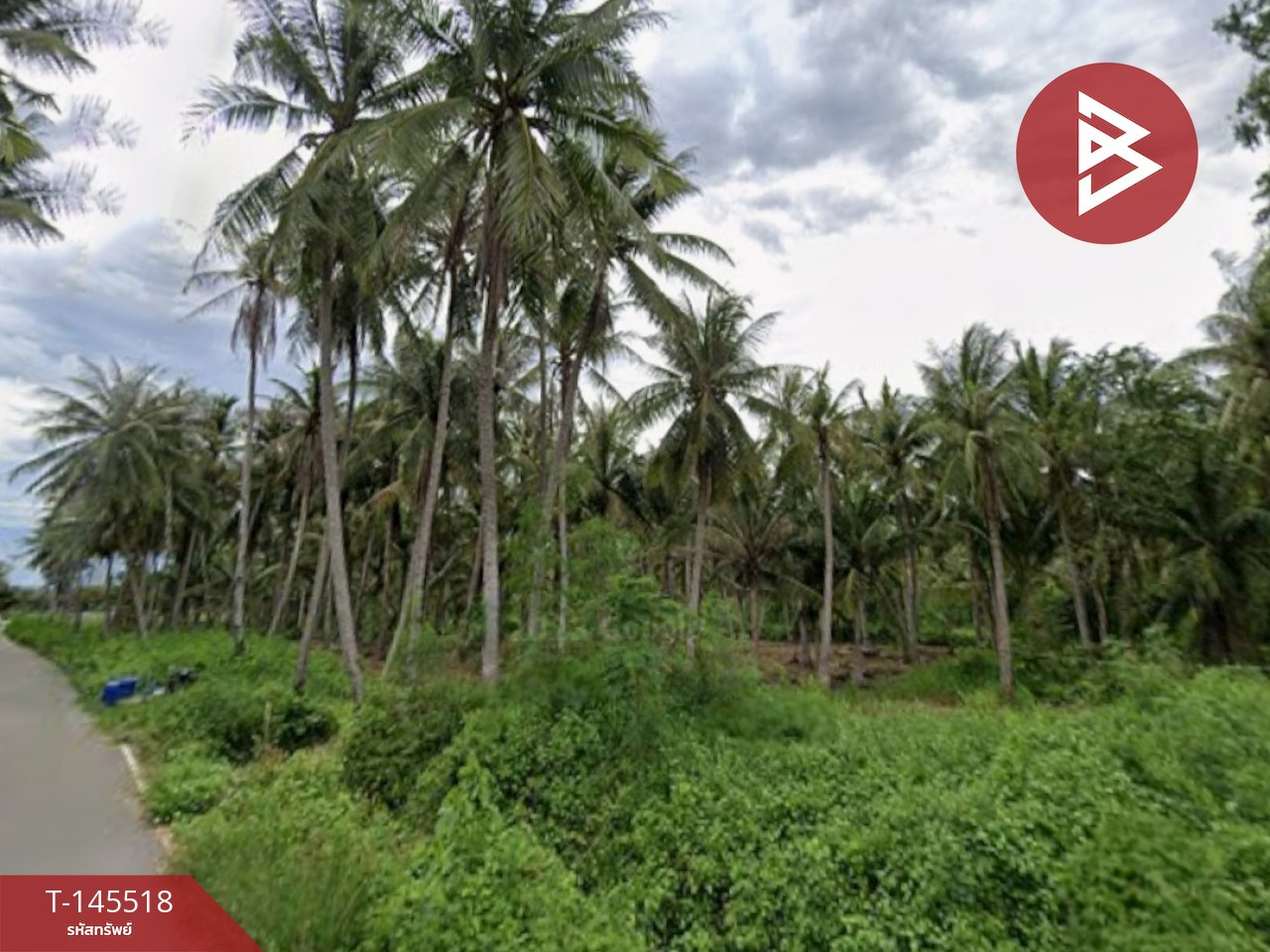 ขายที่ดิน เนื้อที่ 4 ไร่ 1 งาน 46.6 ตร.วา บ้านแหลม เพชรบุรี