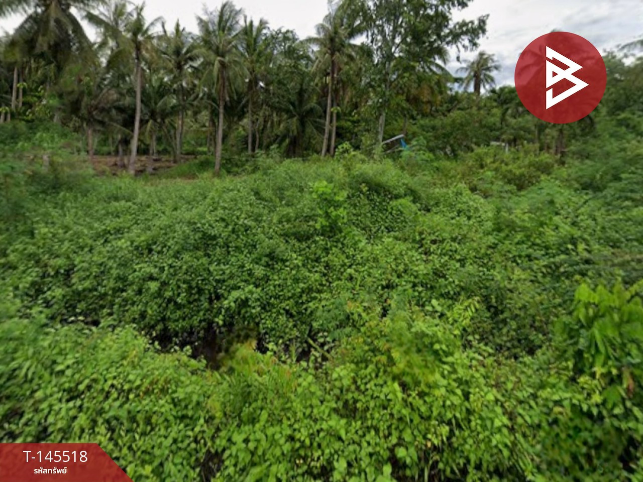 ขายที่ดิน เนื้อที่ 4 ไร่ 1 งาน 46.6 ตร.วา บ้านแหลม เพชรบุรี