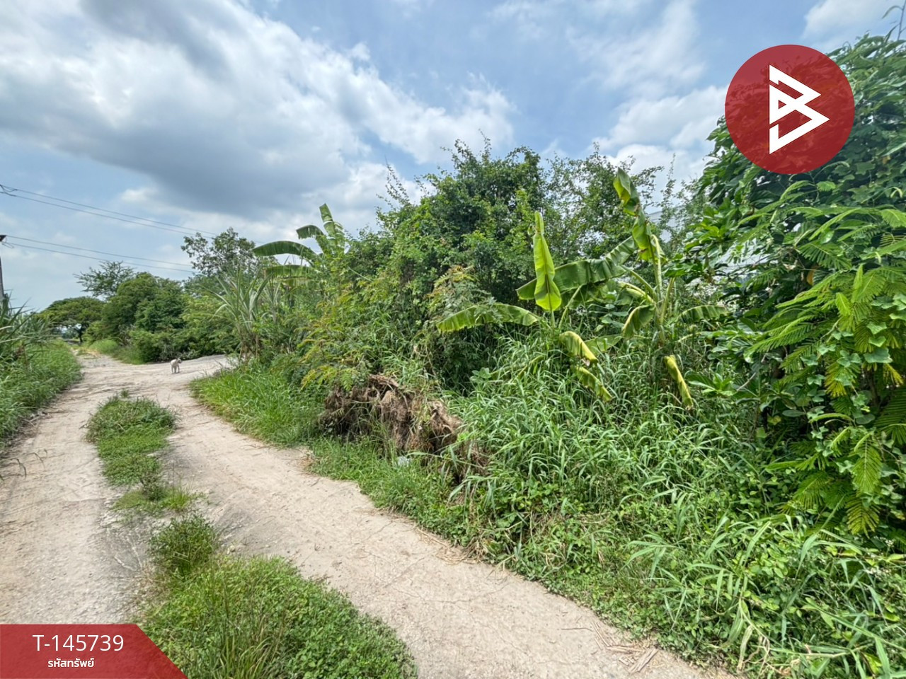 ขายที่ดิน เนื้อที่ 99 ตร.วา ลาดกระบัง กรุงเทพมหานคร