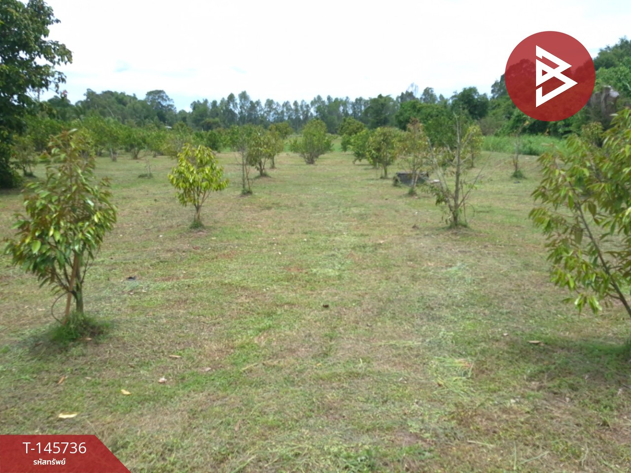 ขายที่ดิน เนื้อที่ 7 ไร่ 2 งาน 73.8 ตร.วา บ้านนา นครนายก