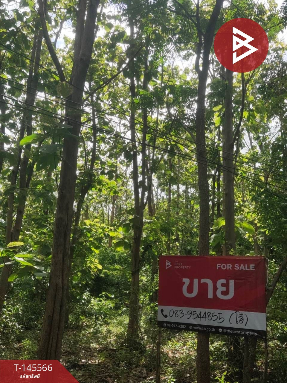ขายที่ดิน เนื้อที่ 2 งาน ตาคลี นครสวรรค์