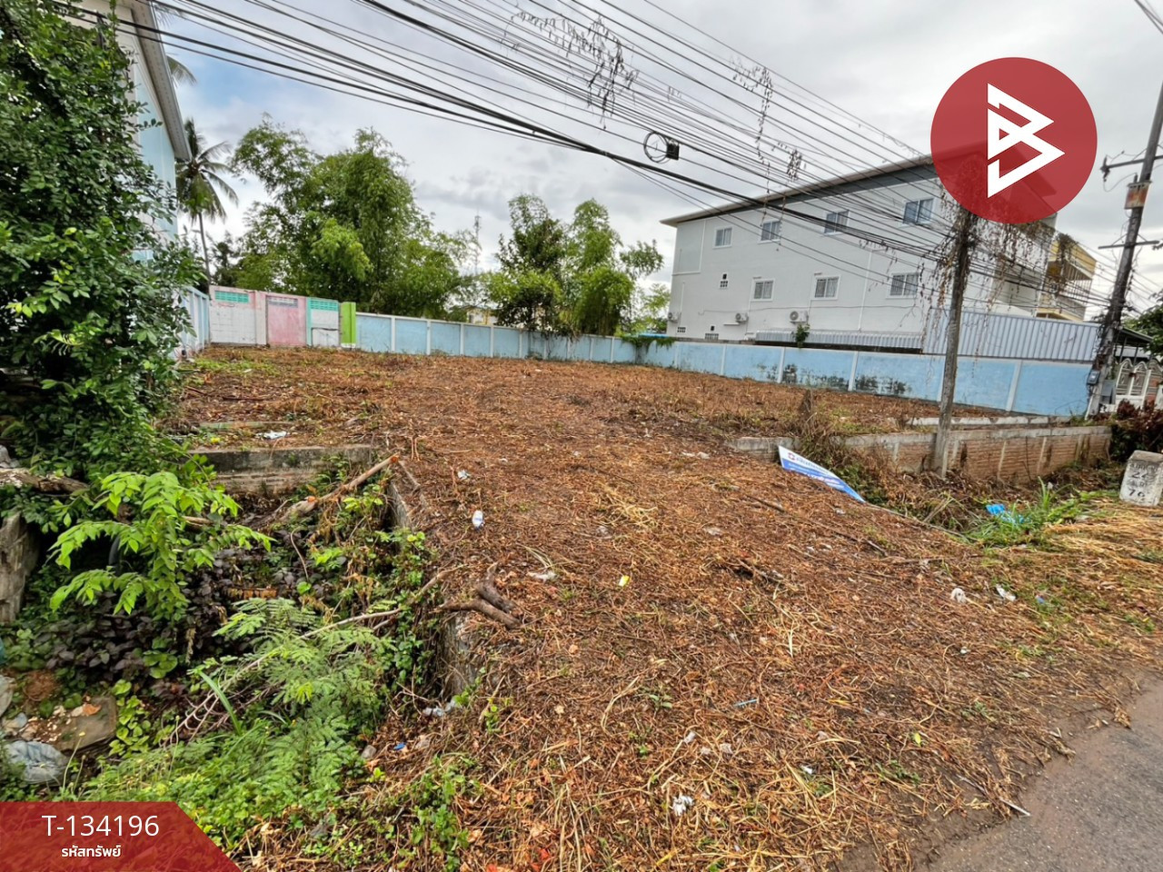 ขายที่ดิน เนื้อที่ 1 งาน 44 ตร.วา บ้านกล้วย สุโขทัย