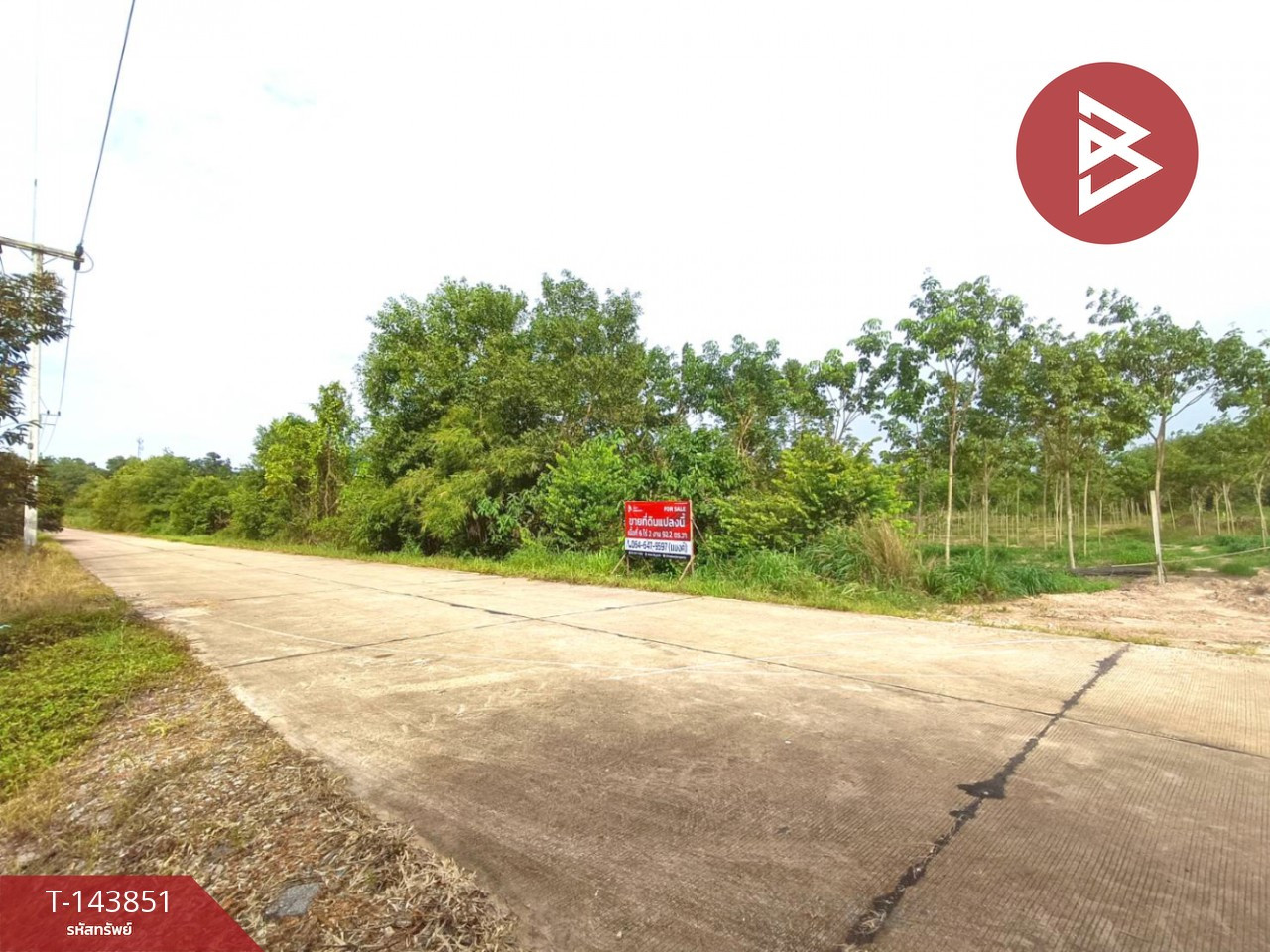 ขายที่ดิน เนื้อที่ 6 ไร่ 2 งาน 92.2 ตร.วา วังจันทร์ ระยอง