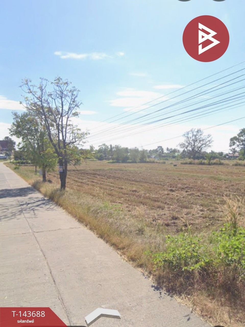 ขายที่ดิน เนื้อที่ 12 ไร่ 3 งาน 77 ตร.วา โพธิ์ศรีสุวรรณ ศรีสะเกษ