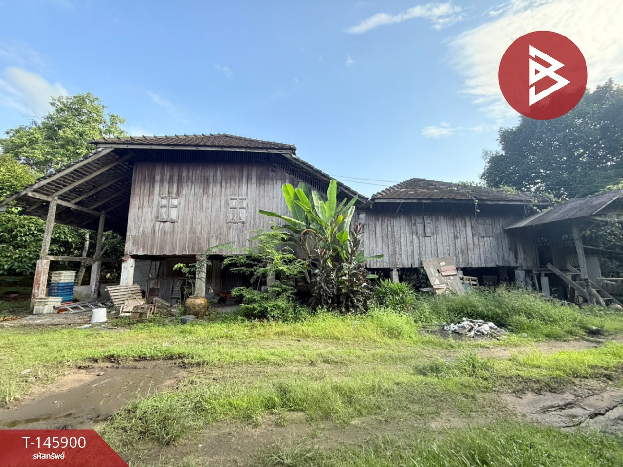 ขายที่ดินพร้อมสวนผลไม้ เนื้อที่ 5 ไร่ 15 ตร.วา พลับพลา จันทบุรี