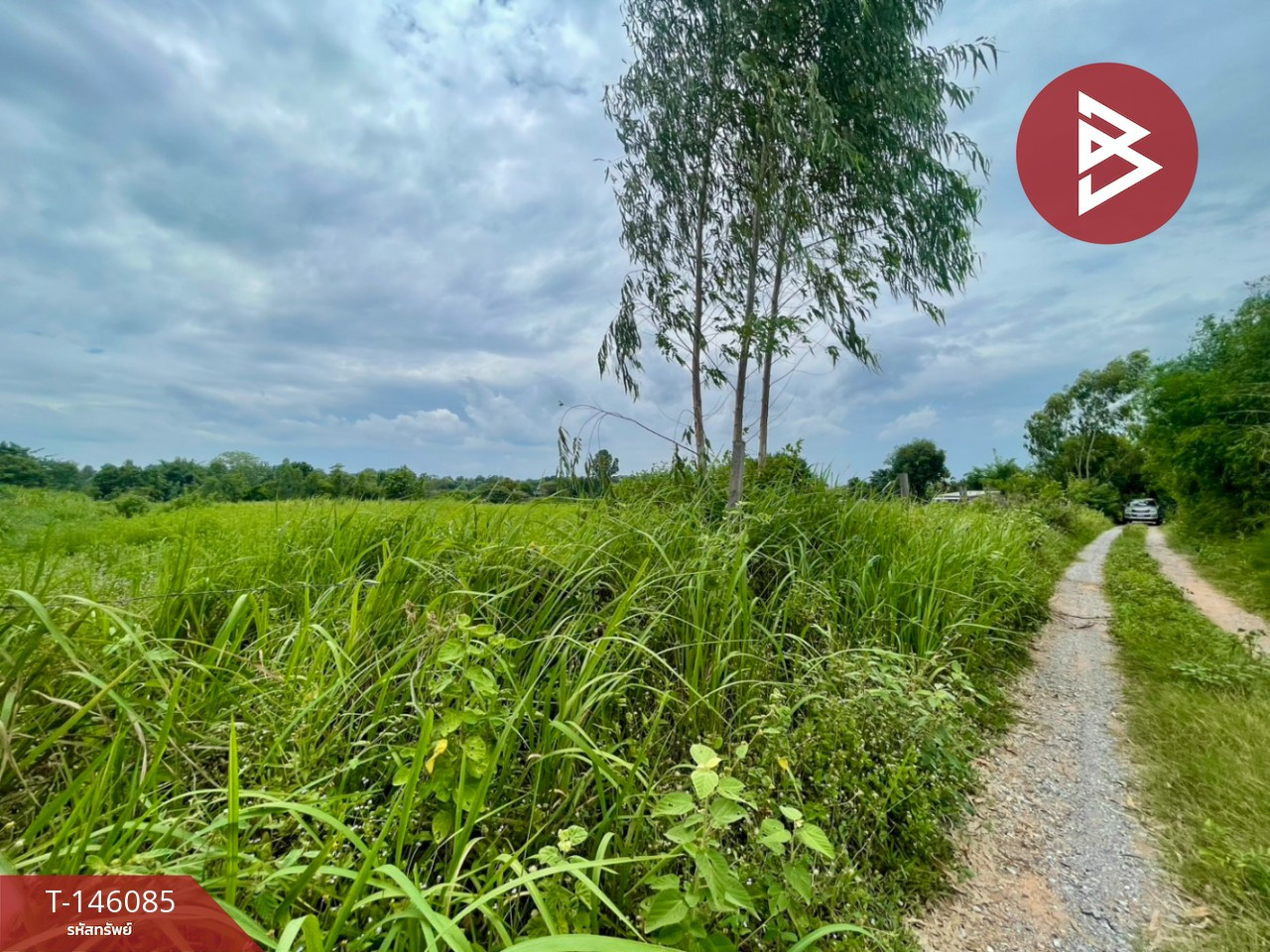 ขายที่ดิน เนื้อที่ 8 ไร่ กุดรัง มหาสารคาม