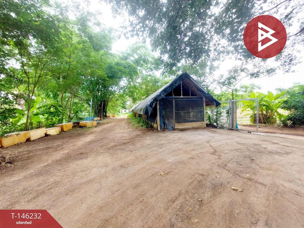 ขายที่ดินพร้อมบ้านสวน เนื้อที่ 15 ไร่ 71.2 ตร.วา โพธิ์ตาก หนองคาย ทำเลดีติดถนน