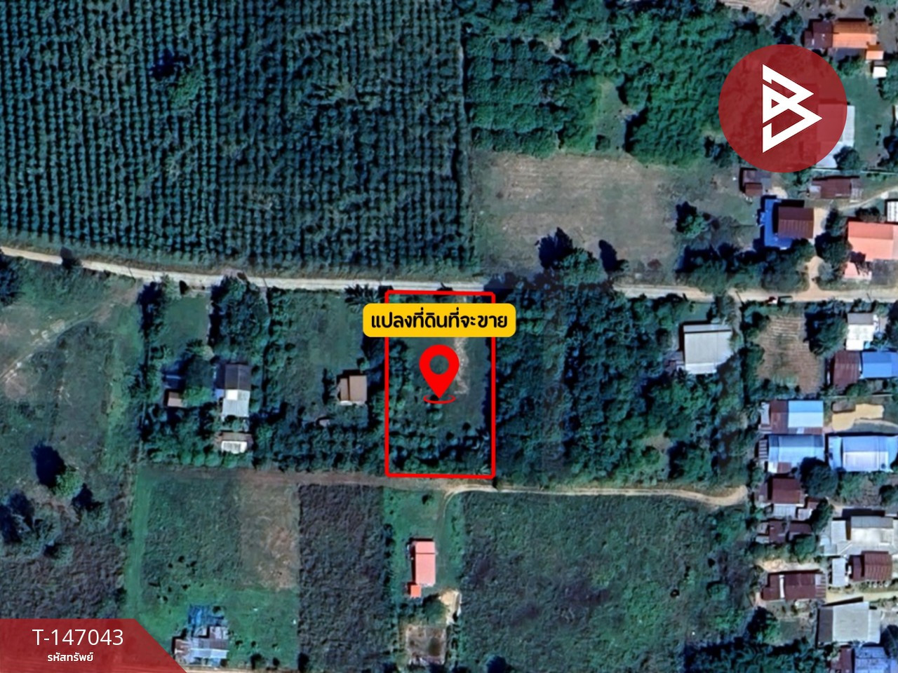 ขายที่ดินสวย สวนผลไม้ผสมผสาน เนื้อที่ 1 ไร่ 1 งาน 10 ตร.วา เชียงยืน มหาสารคาม