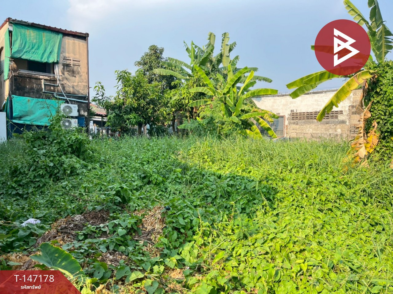 ขายที่ดิน เนื้อที่ 50.6 ตร.วา ปากน้ำ สมุทรปราการ