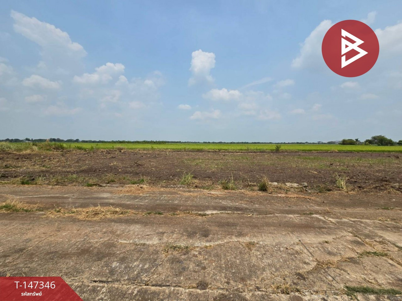 ขายที่ดิน เนื้อที่ 1 งาน 80 ตร.วา คลองหลวง ปทุมธานี