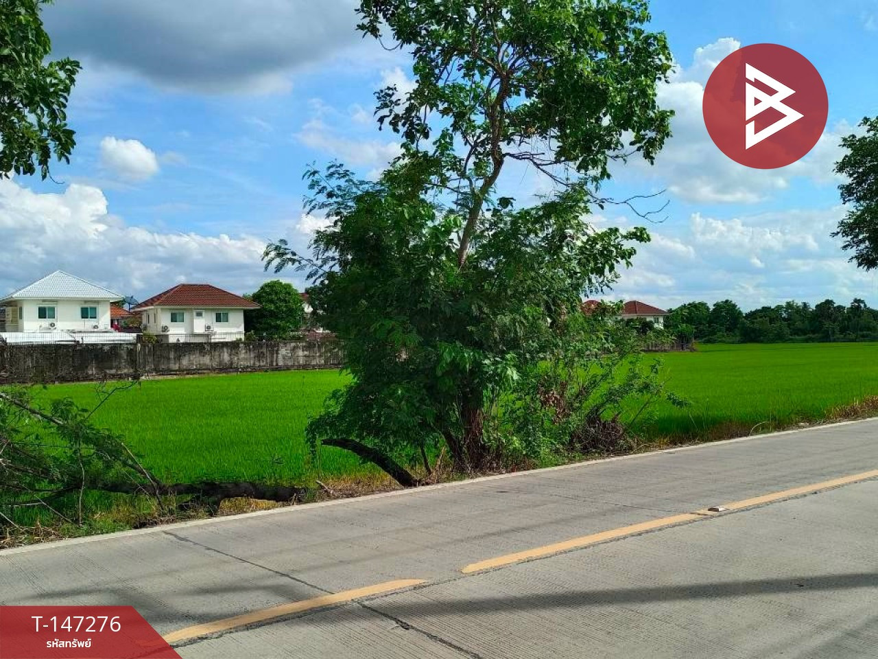 ขายที่ดินสวย 2 แปลง เนื้อที่รวม 11 ไร่ 62 ตร.วา ซอยเทศบาล 25 นนทบุรี ทำเลทองบางใหญ่-บางแม่นาง