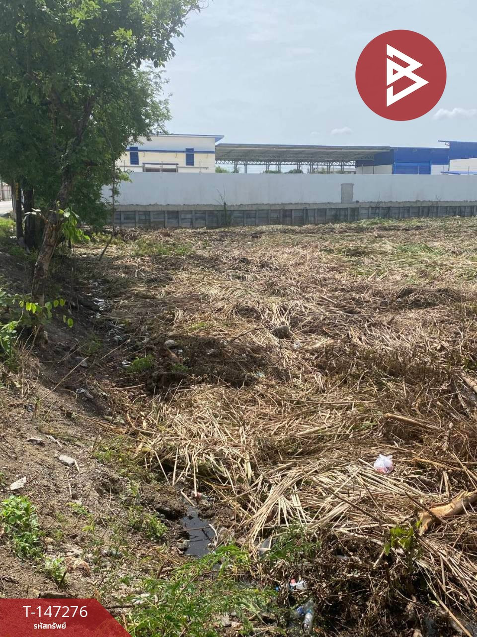 ขายที่ดินสวย 2 แปลง เนื้อที่รวม 11 ไร่ 62 ตร.วา ซอยเทศบาล 25 นนทบุรี ทำเลทองบางใหญ่-บางแม่นาง