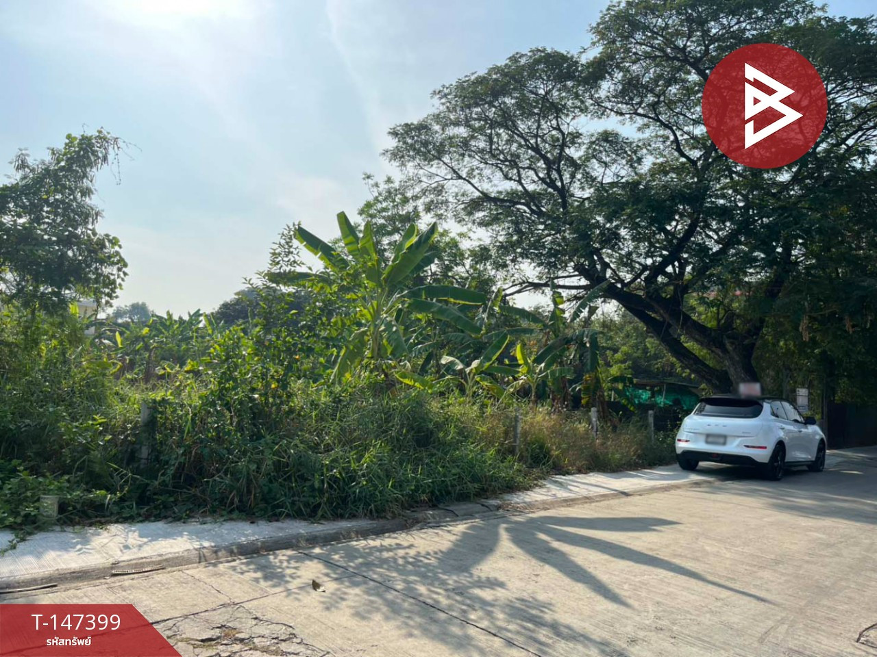 ขายที่ดิน เนื้อที่ 1 งาน 81 ตร.วา เพชรเกษม 77 หนองแขม กรุงเทพมหานคร ทำเลดี
