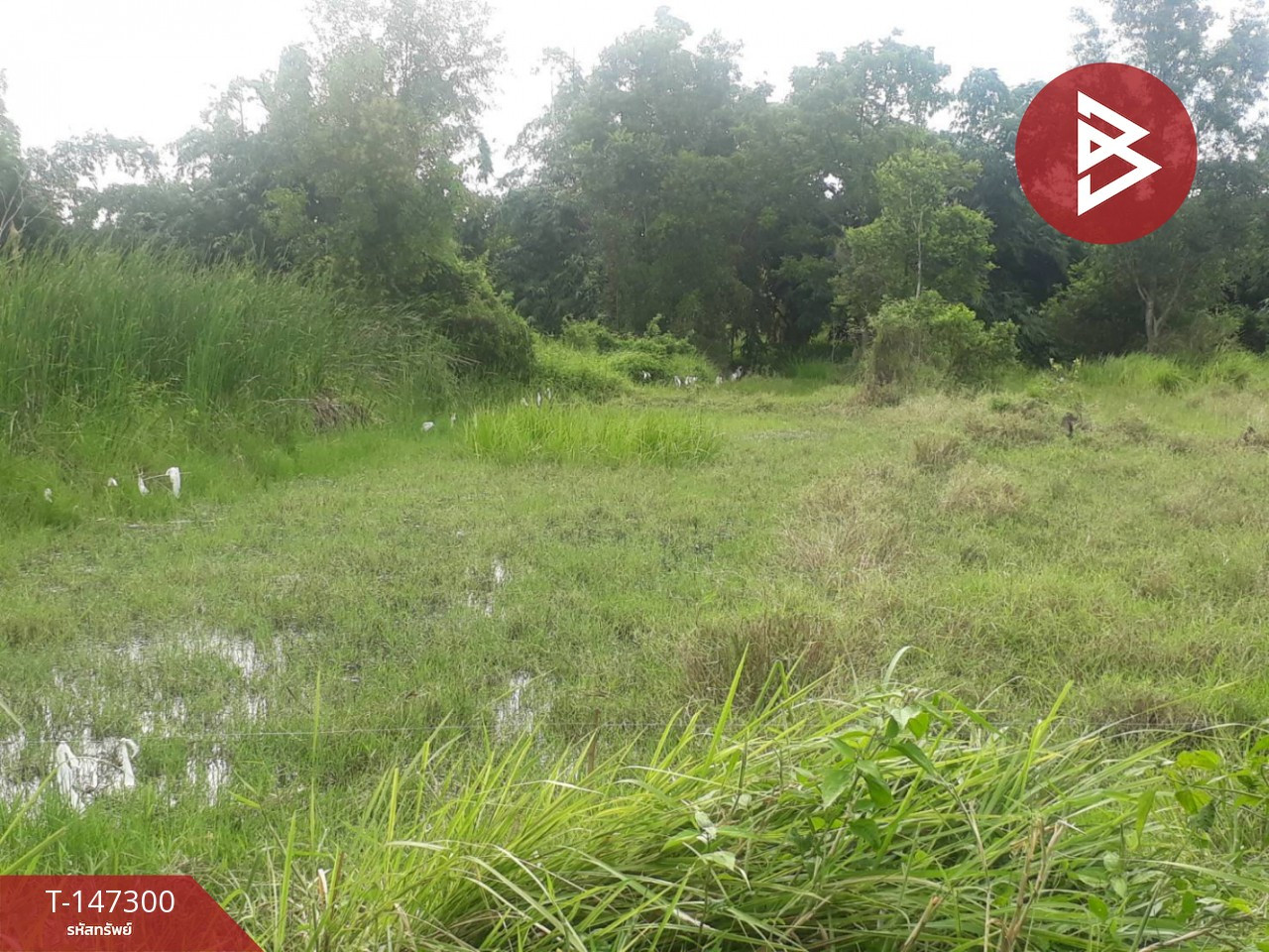 ขายที่ดิน เนื้อที่ 87 ตร.วา อยู่วิทยา ซอย 11 หนองจอก กรุงเทพฯ
