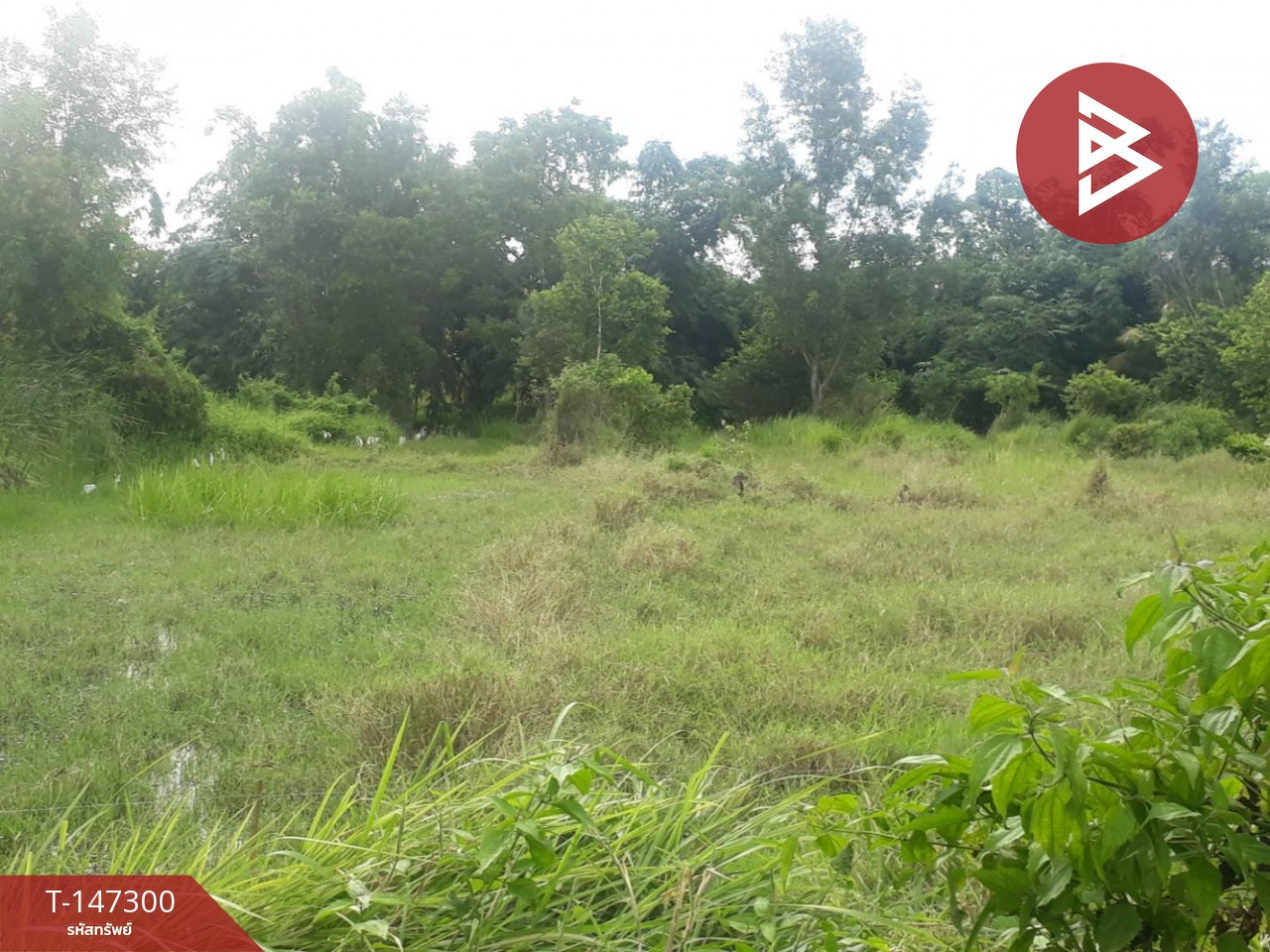 ขายที่ดิน เนื้อที่ 87 ตร.วา อยู่วิทยา ซอย 11 หนองจอก กรุงเทพฯ